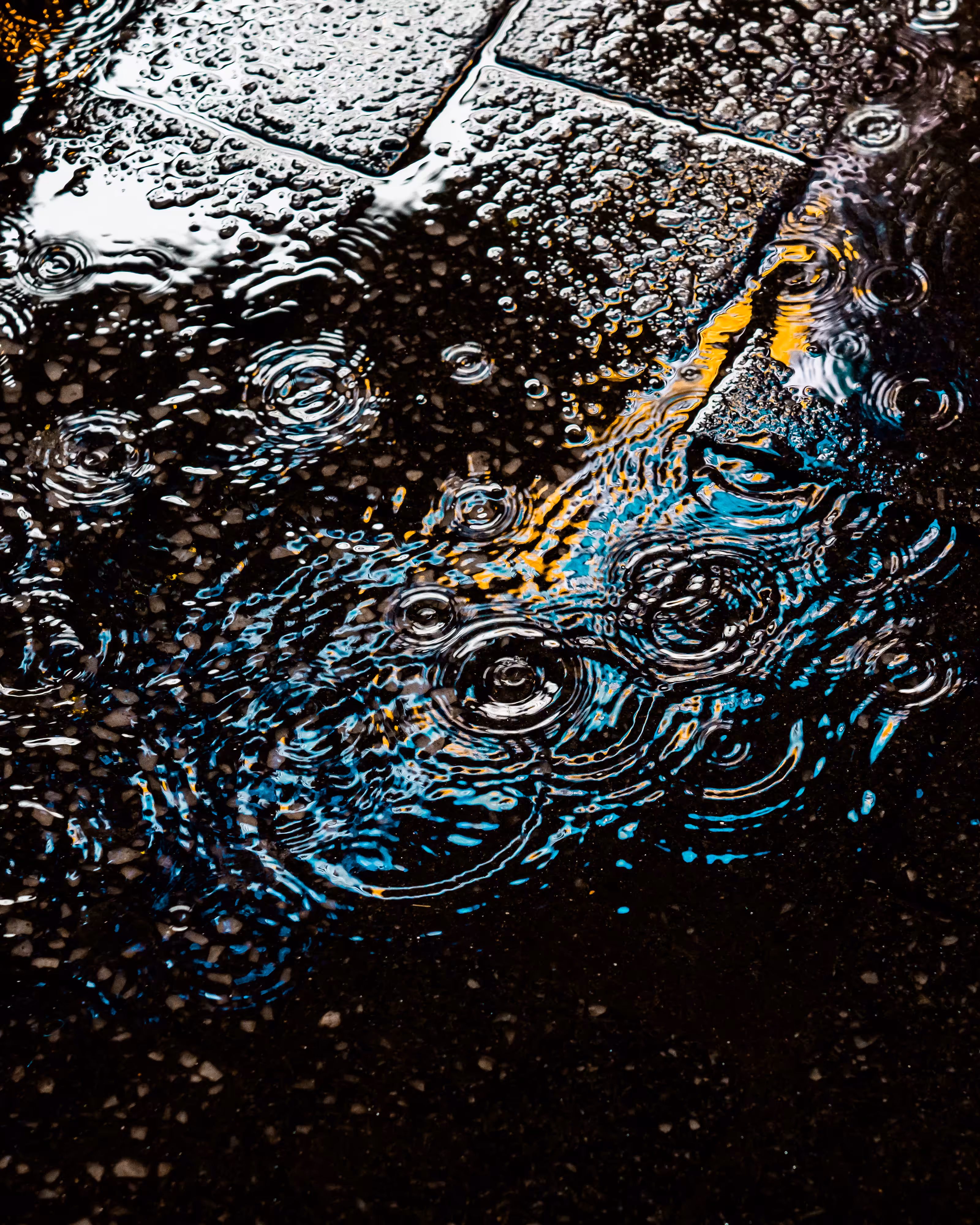 DRIP DROP: DRIP #587