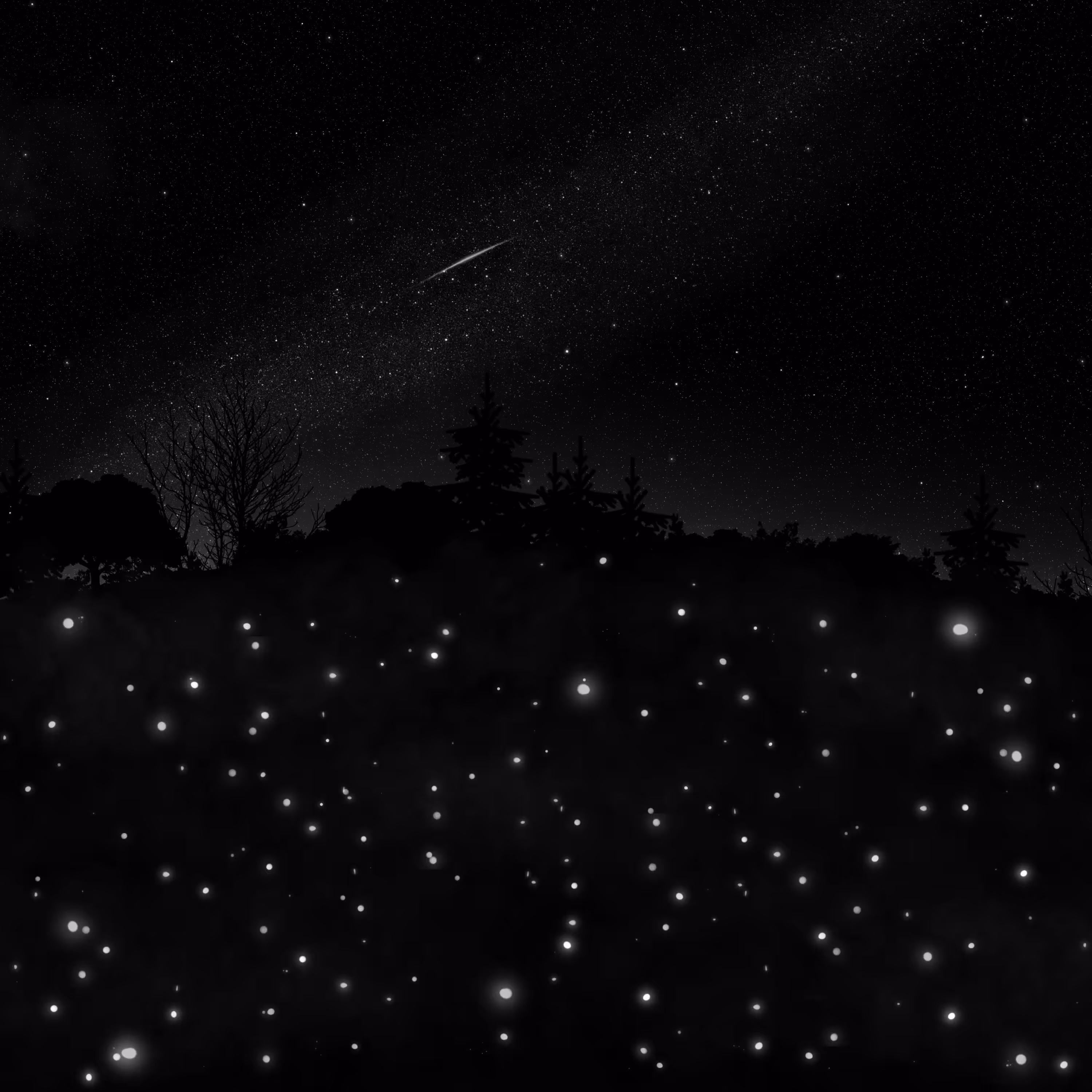 firefly lullaby
