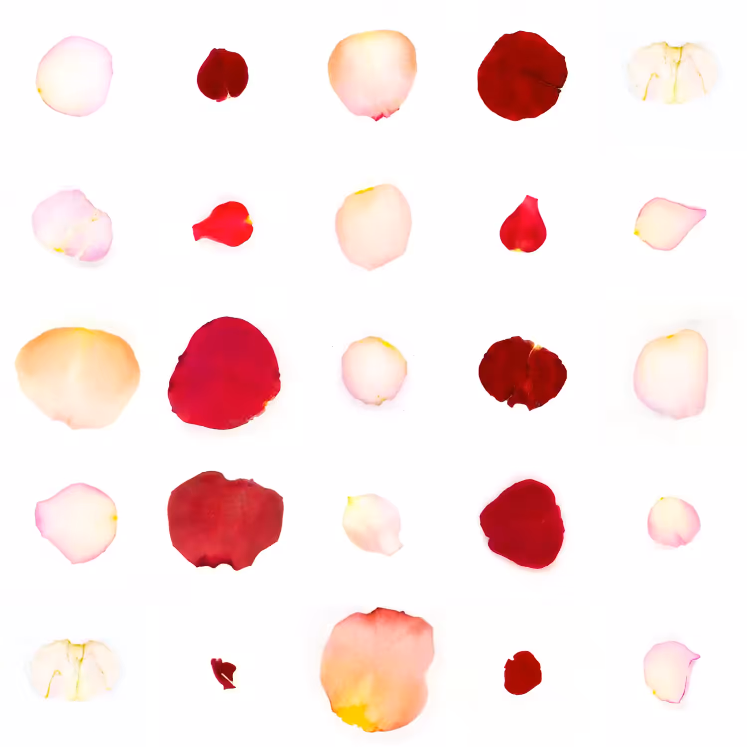 Infinite Petals 5x5#20055