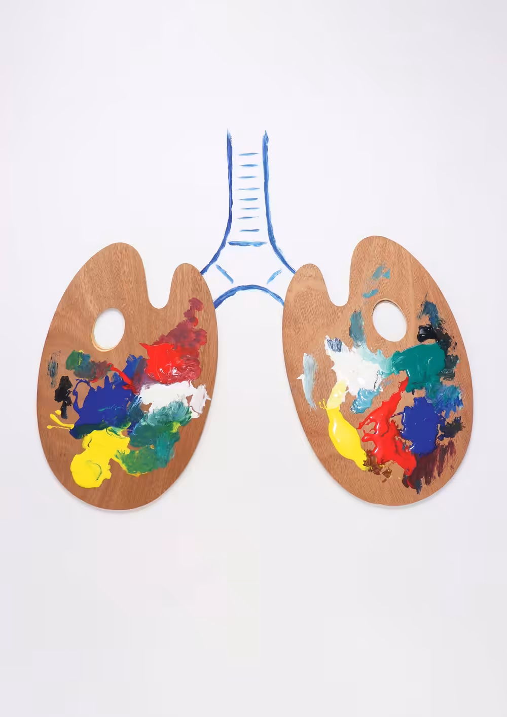 Artist lungs