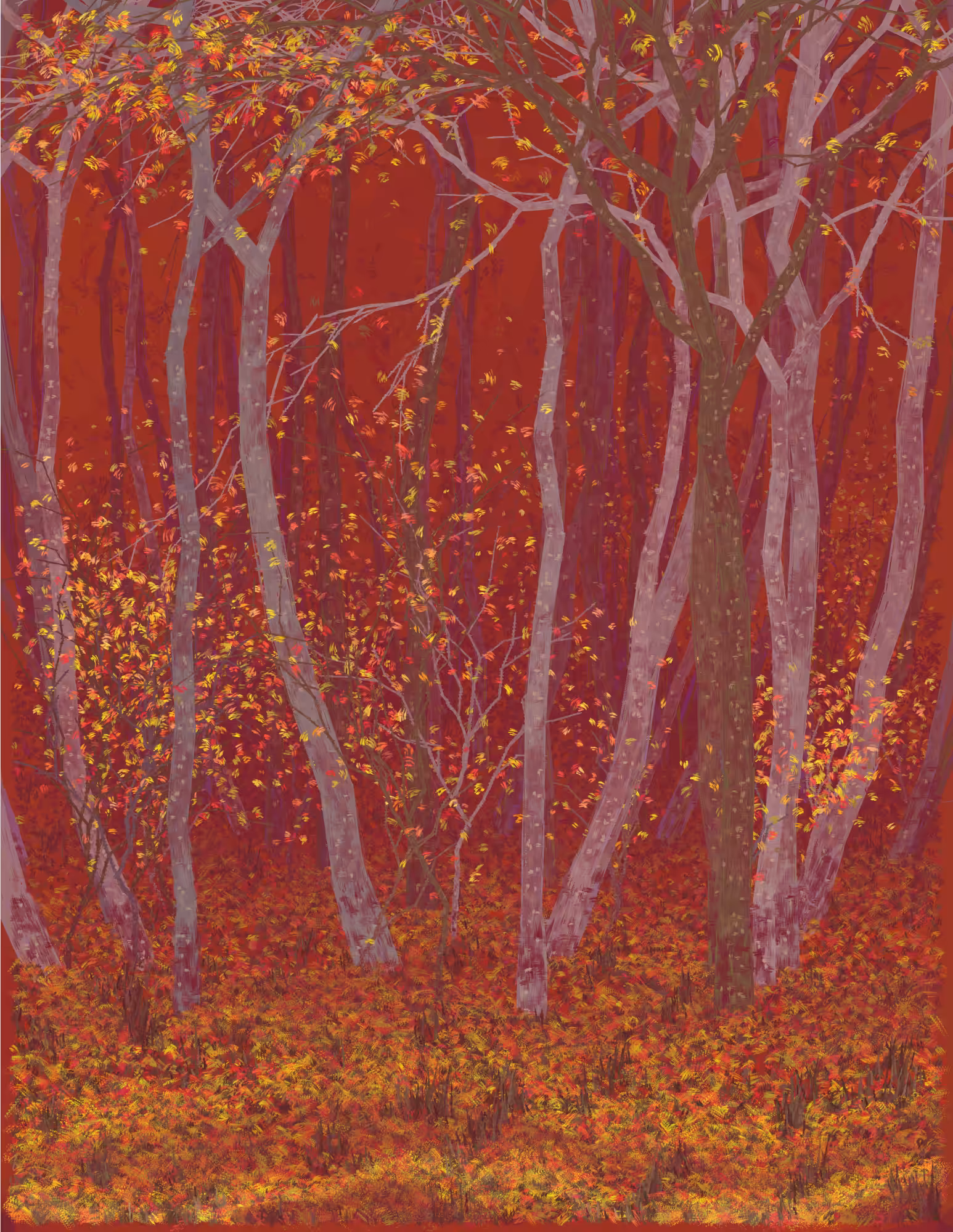 Deep Forest #209
