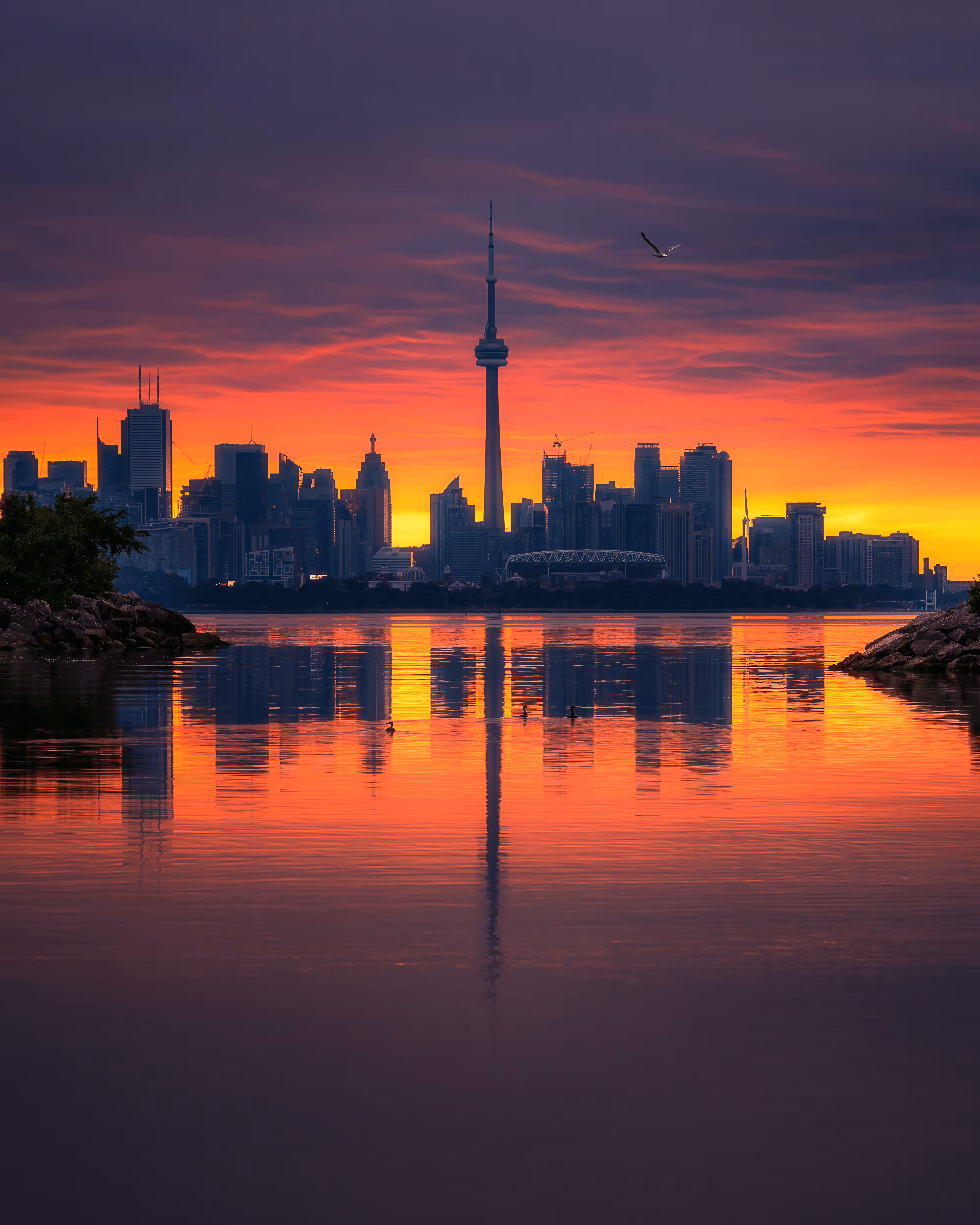 Beyond The Sunrises #28: Golden Moment