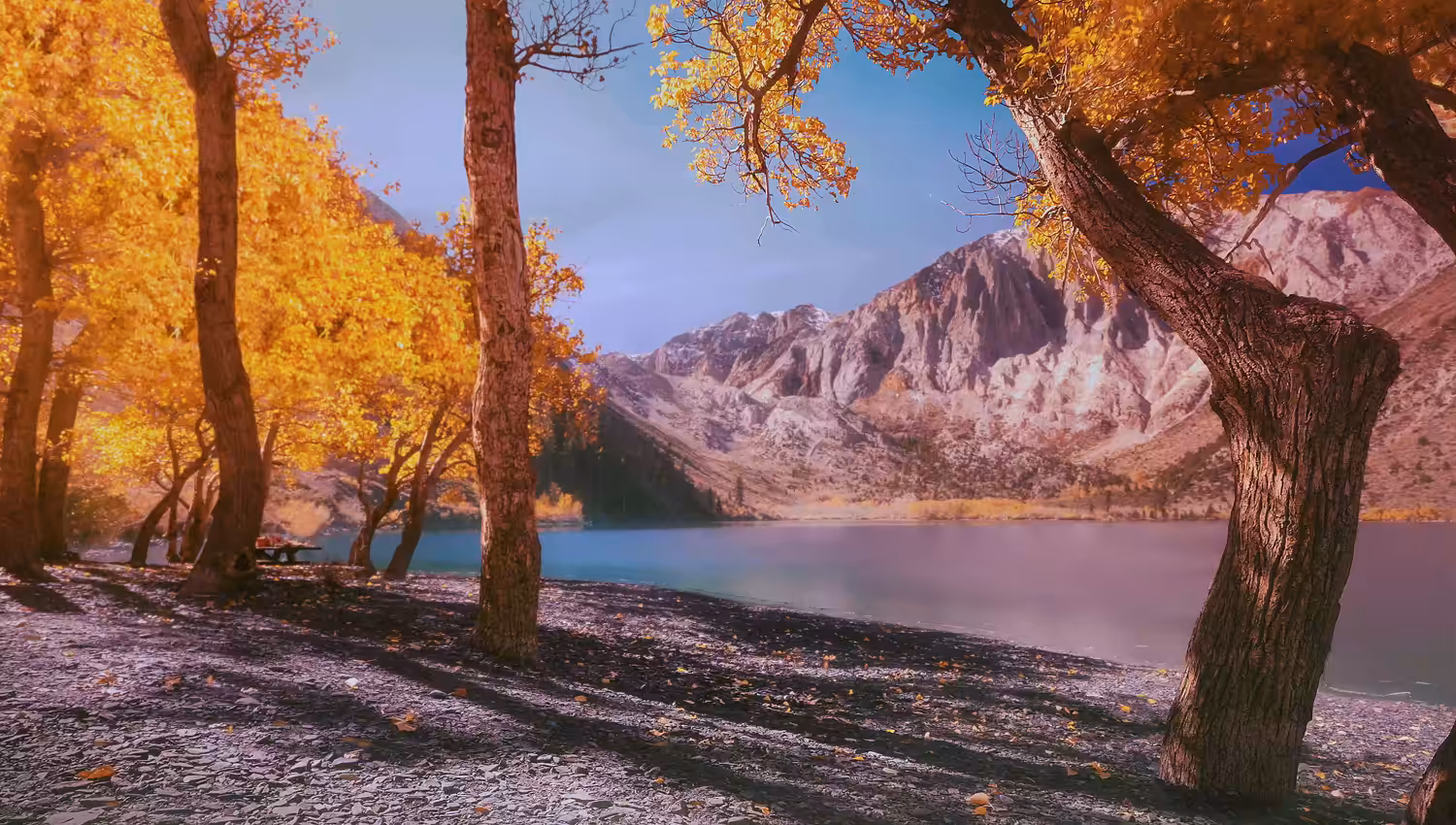 Autumn Bliss