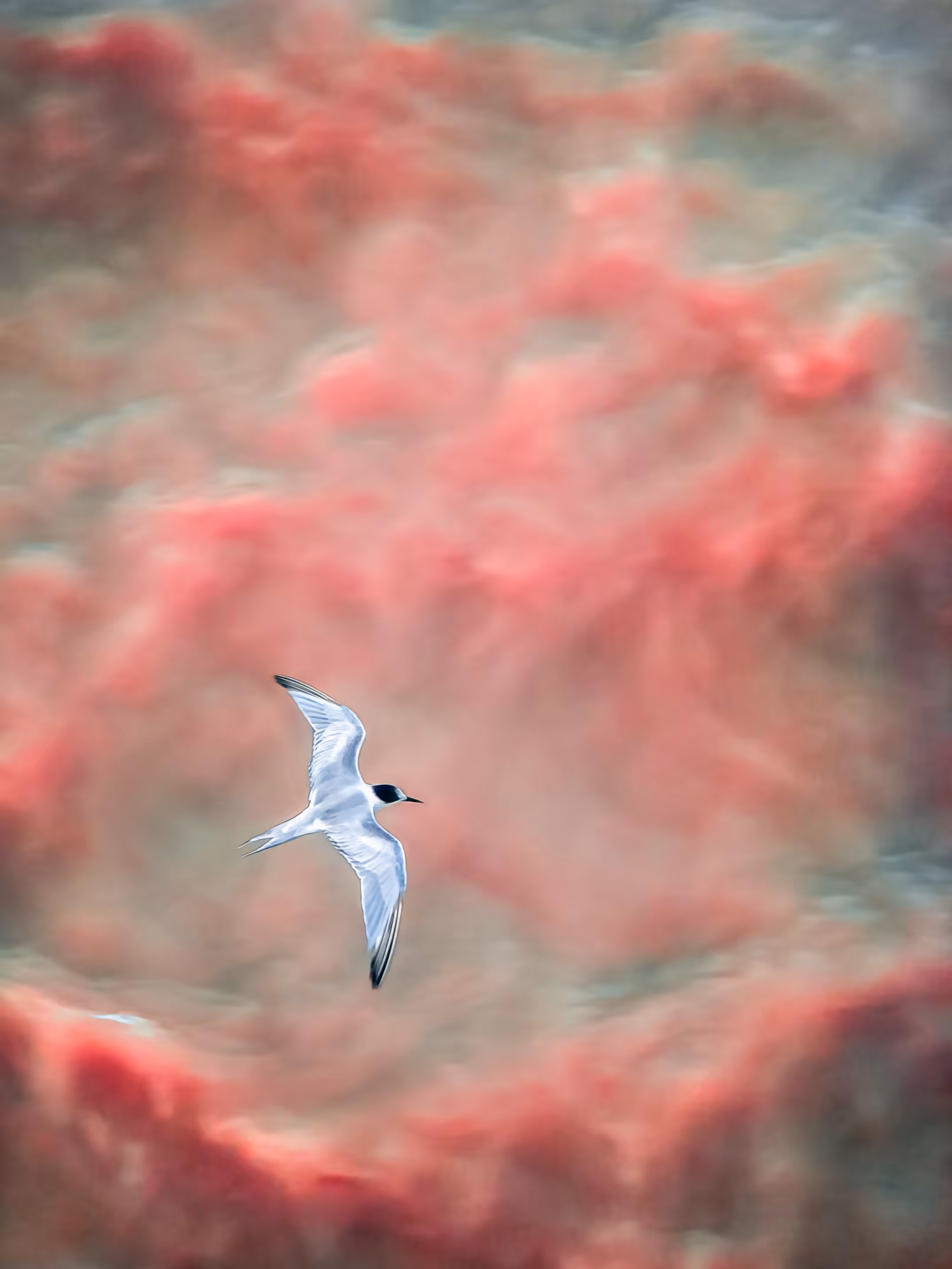 You can fly