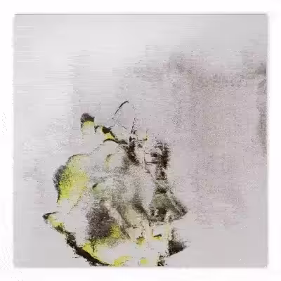 SOFT_STRESS / VIDEO ART ALBUM: #8