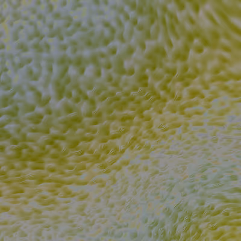 Noise Corals #51
