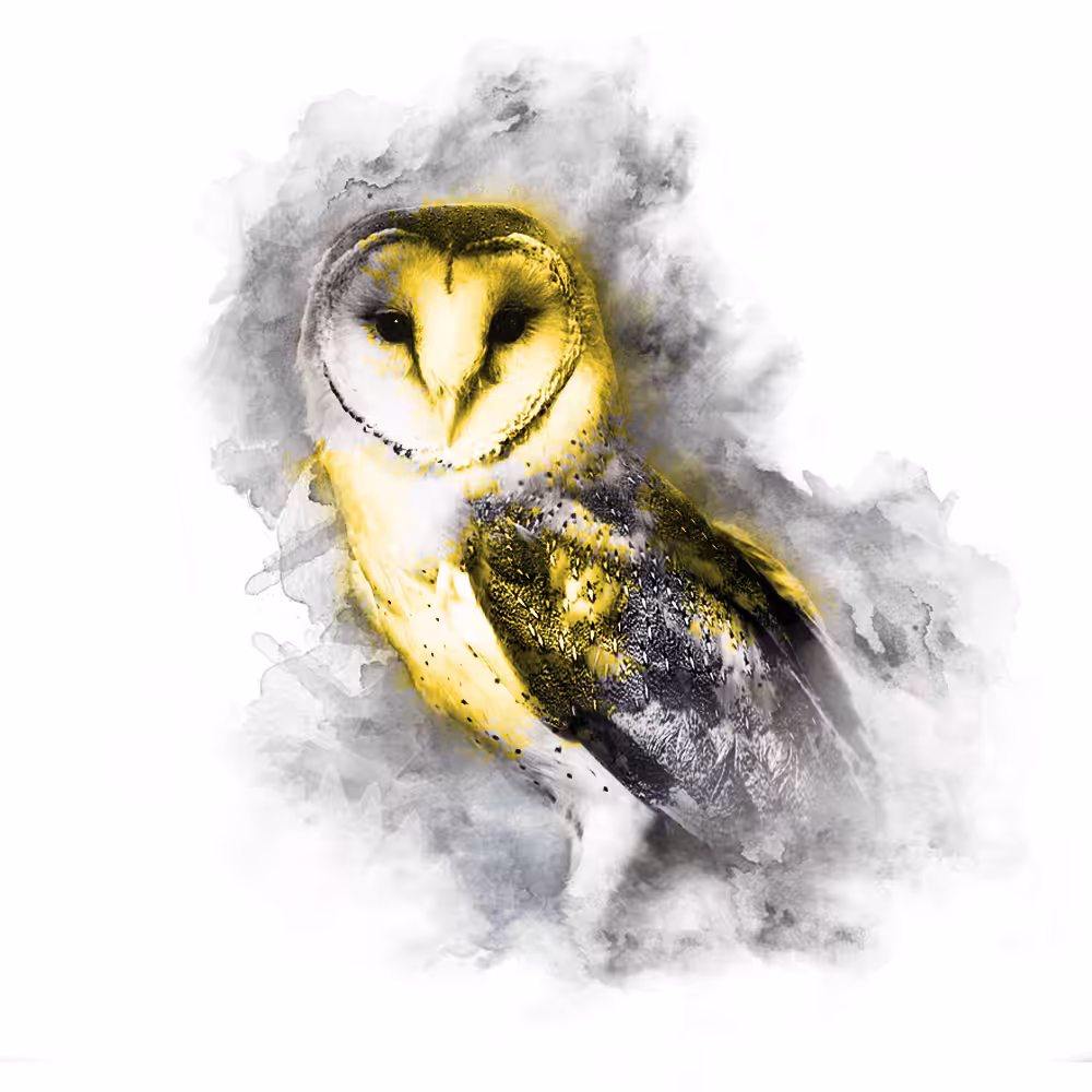 YELLOW SERIES - OWL