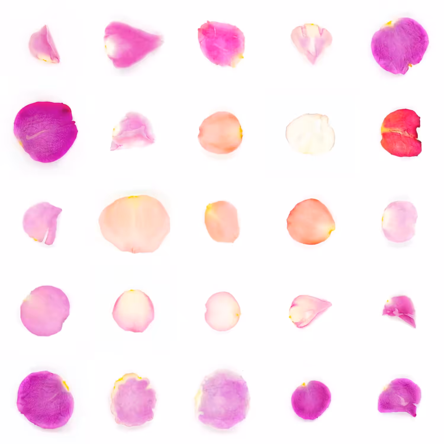 Infinite Petals 5x5#21024