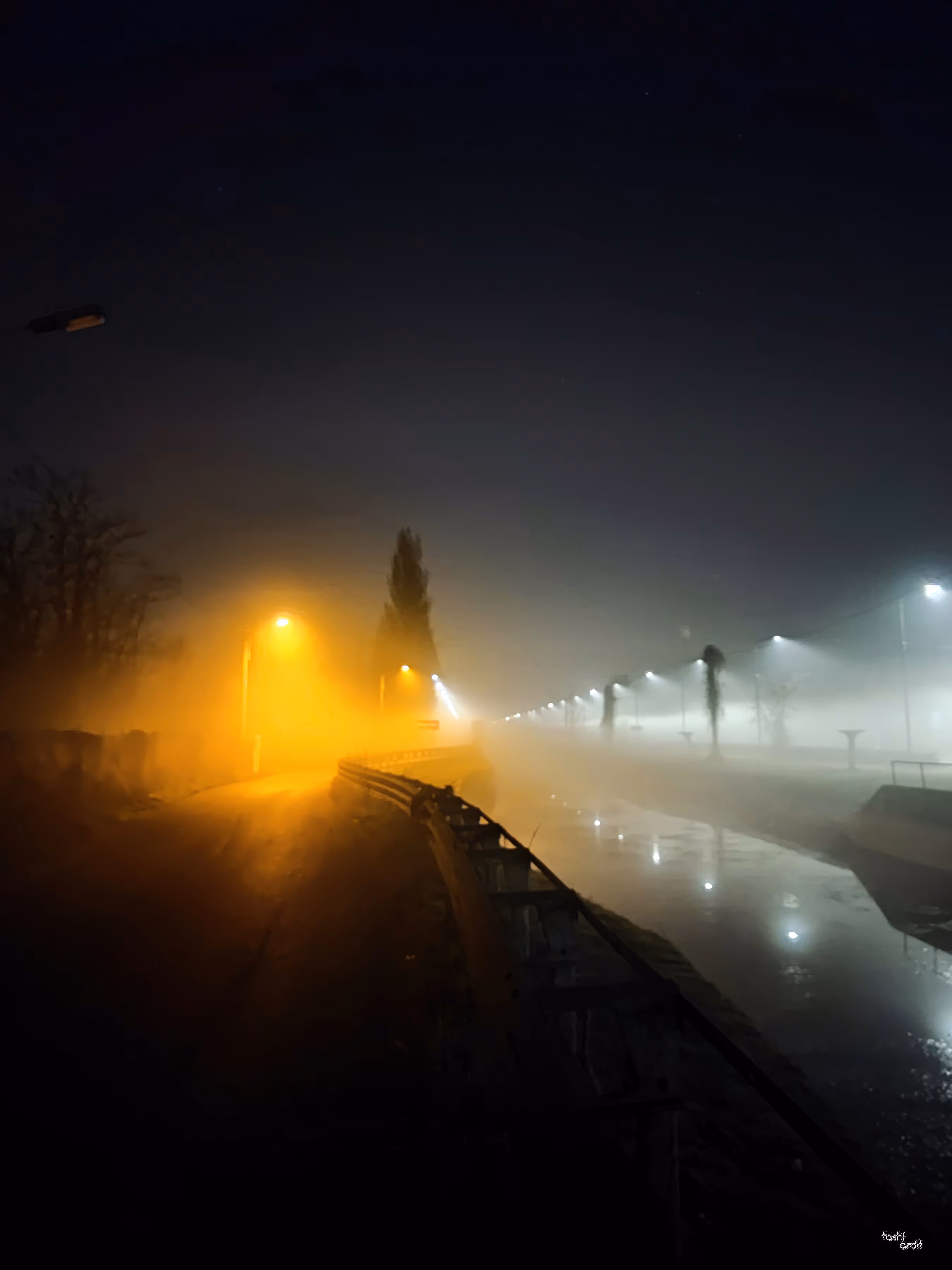 The Misty Yellow Light