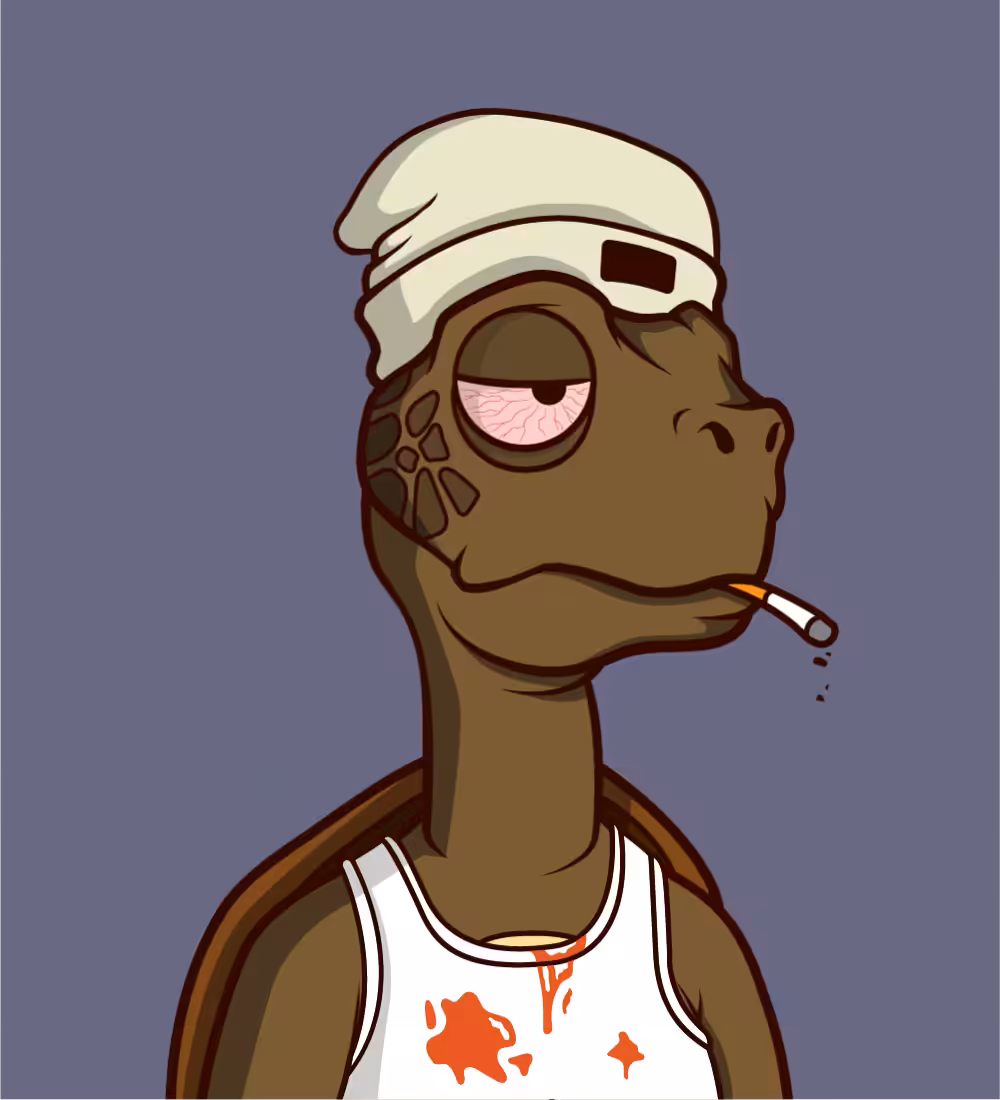 Tiny Turtle 68