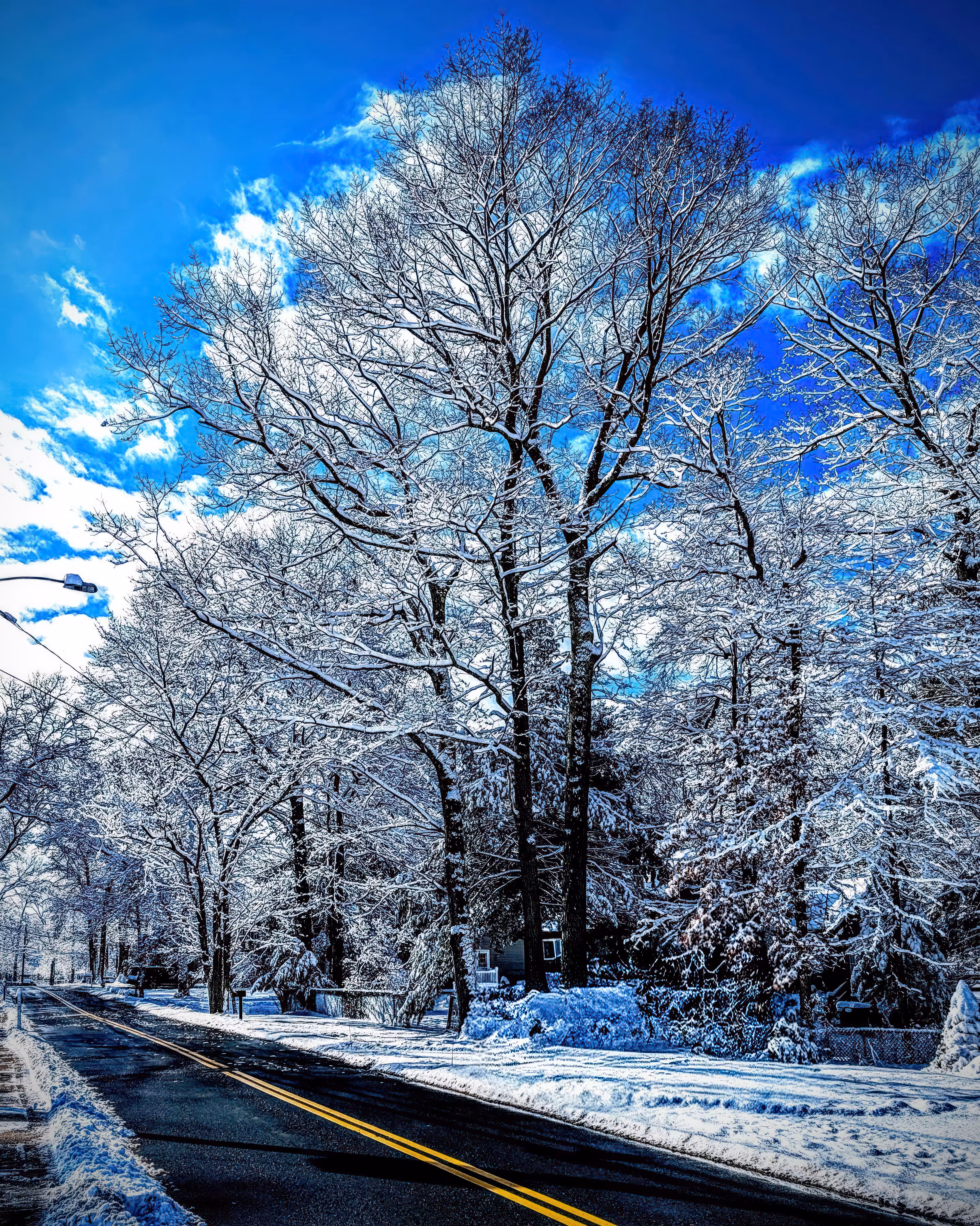 Winter Unleashed