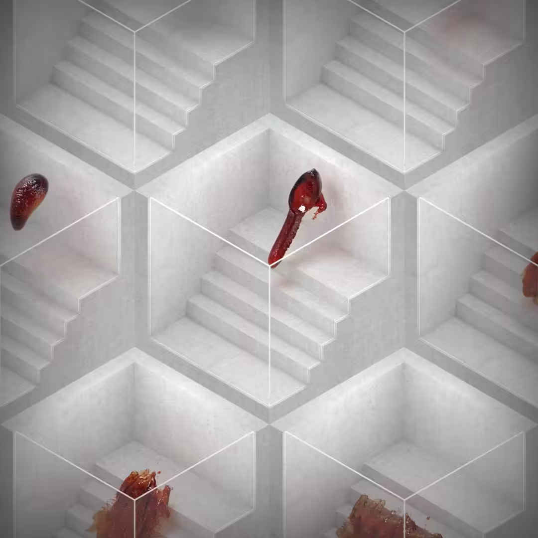 The Harmony of Opposites - The Hive