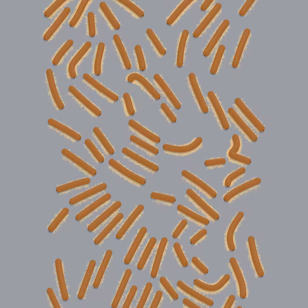 Free Hot Dogs #178