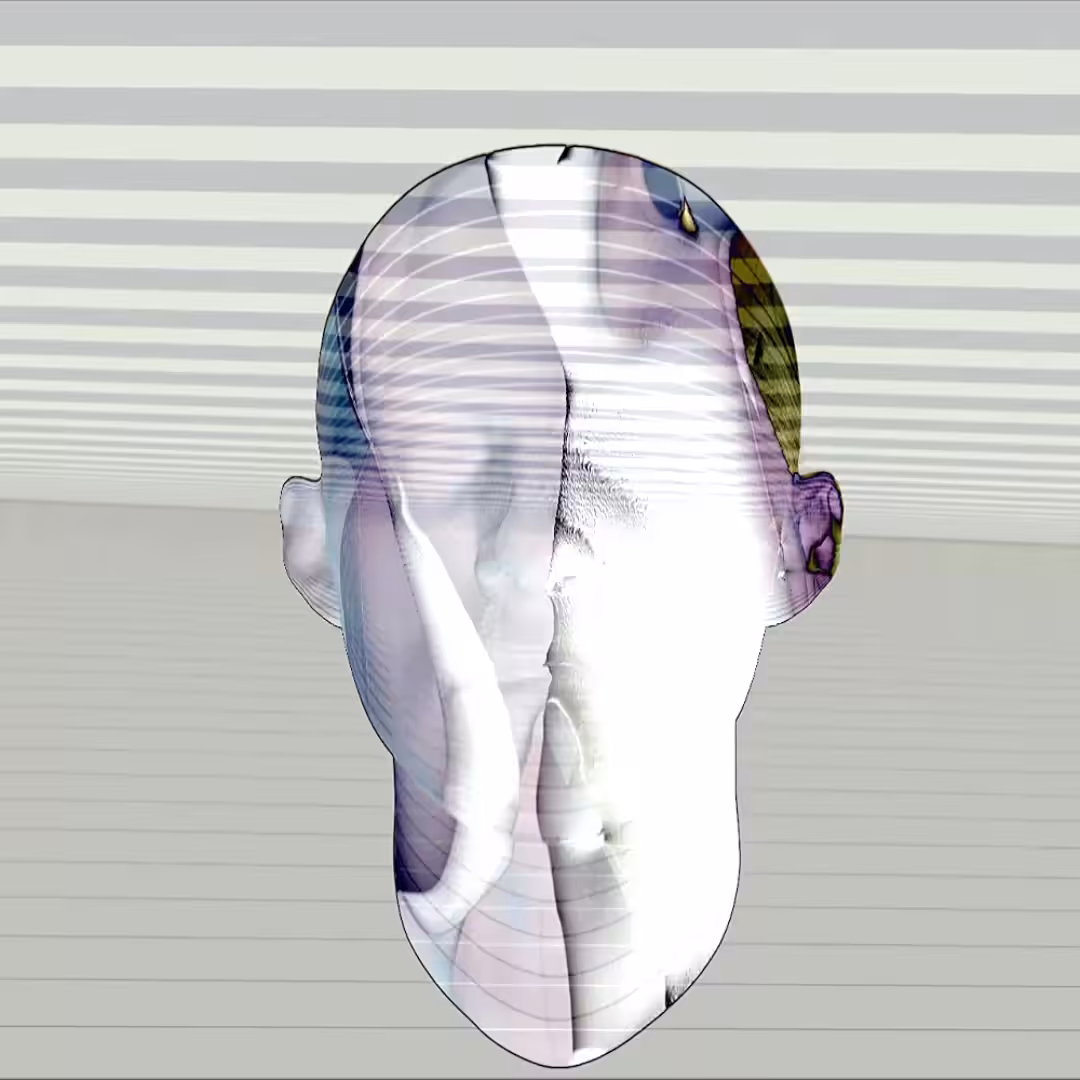 Head Bones