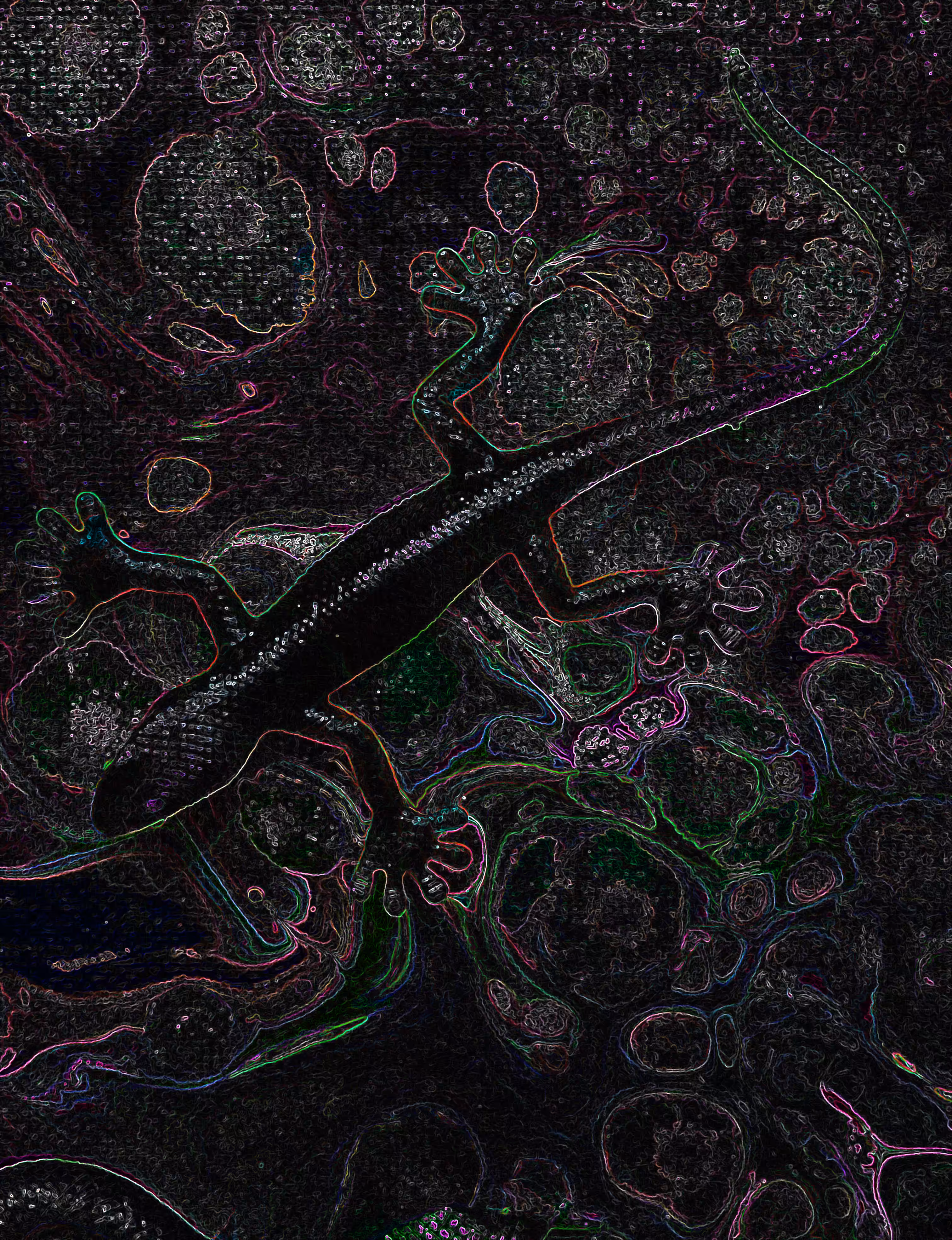Neon Chameleon   @ArtByLeClaireD1