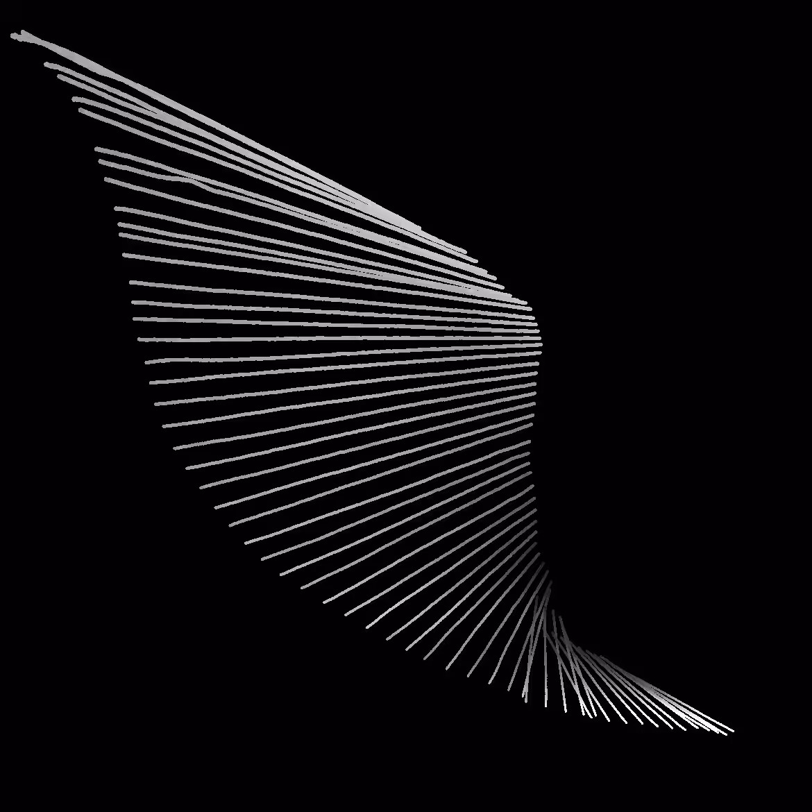RDF #07 - Light and Space IV