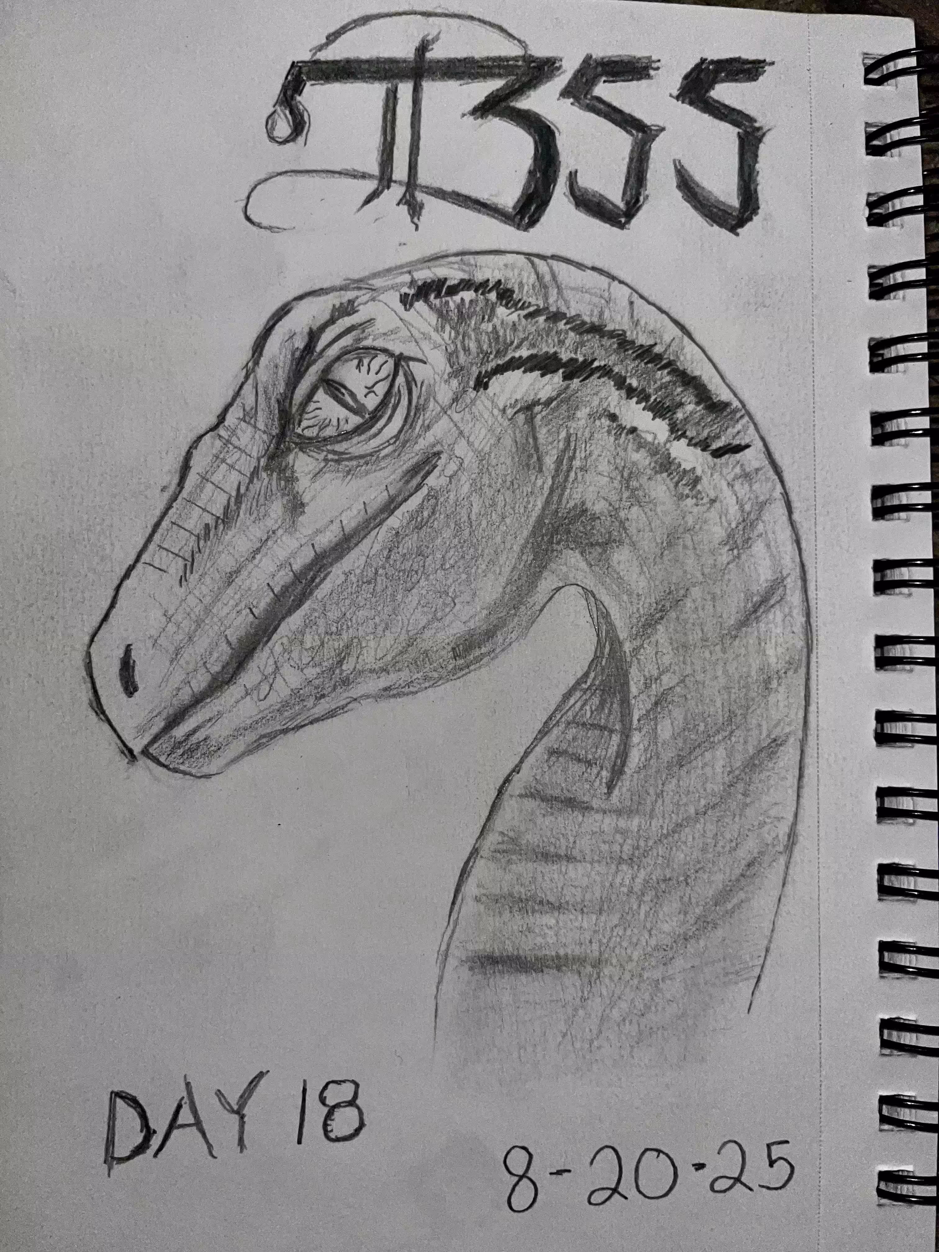 Aug 20 Day 18