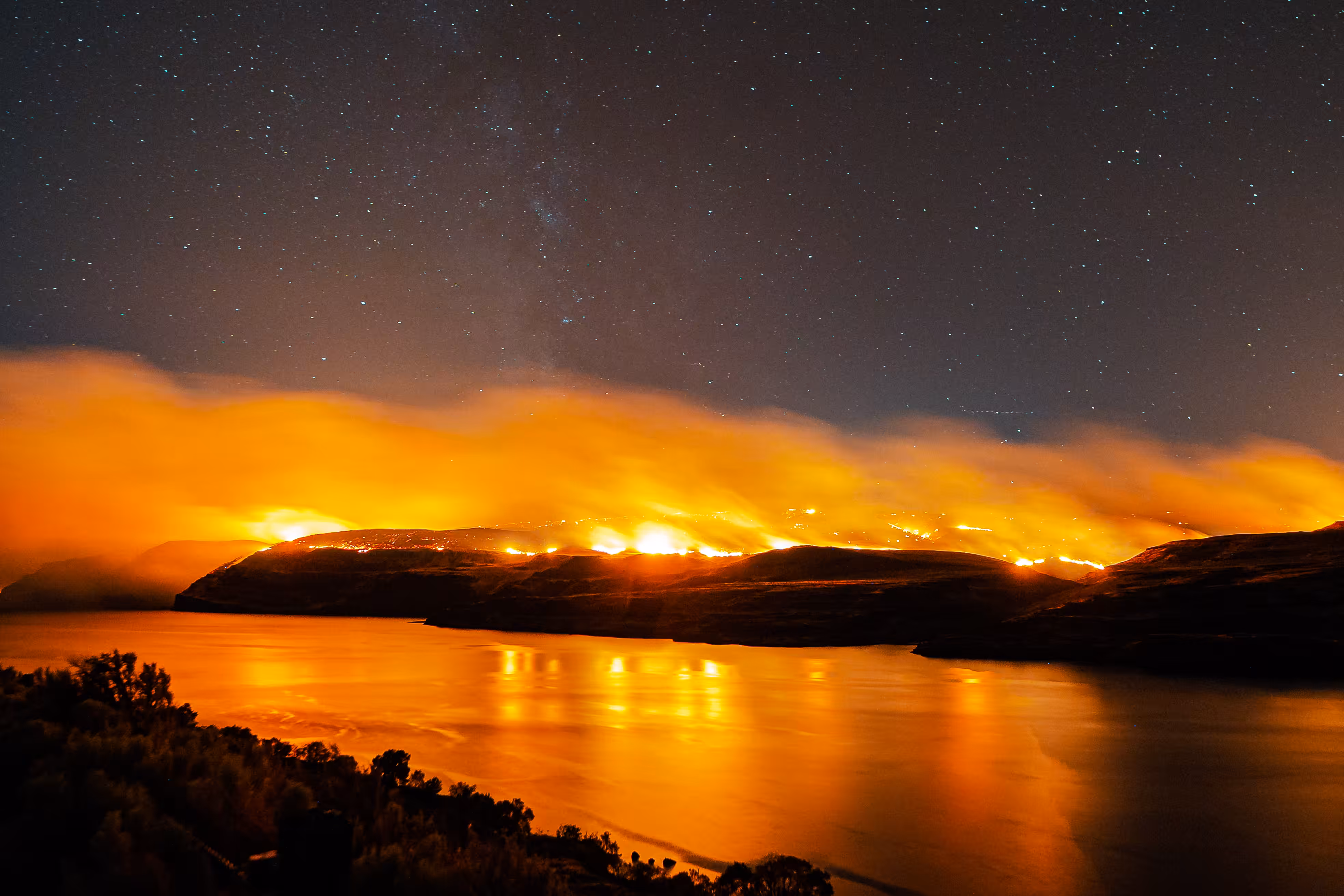 Something Beautiful is Dying: Wildfire