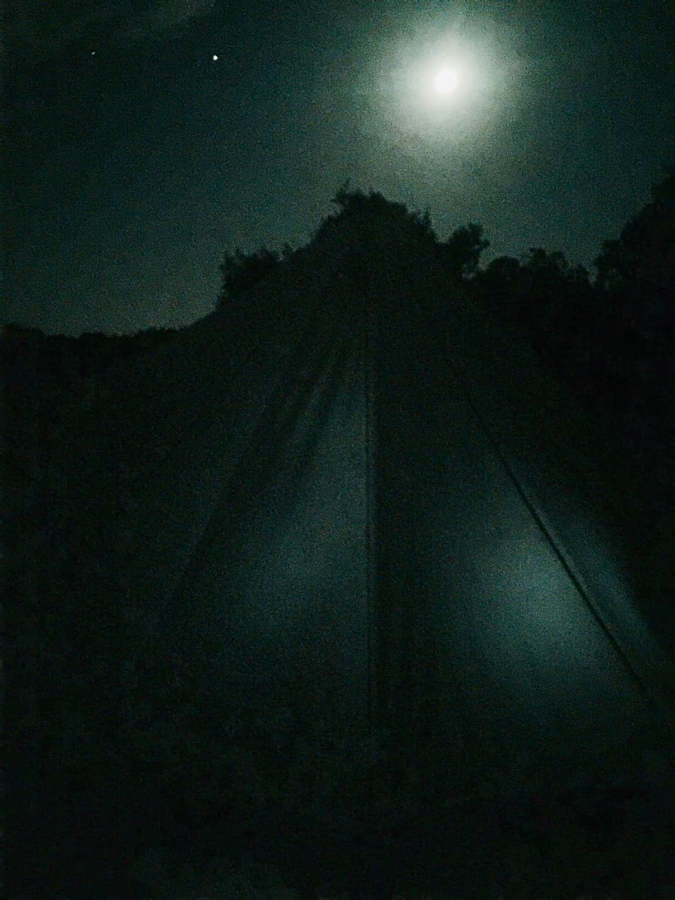 Night