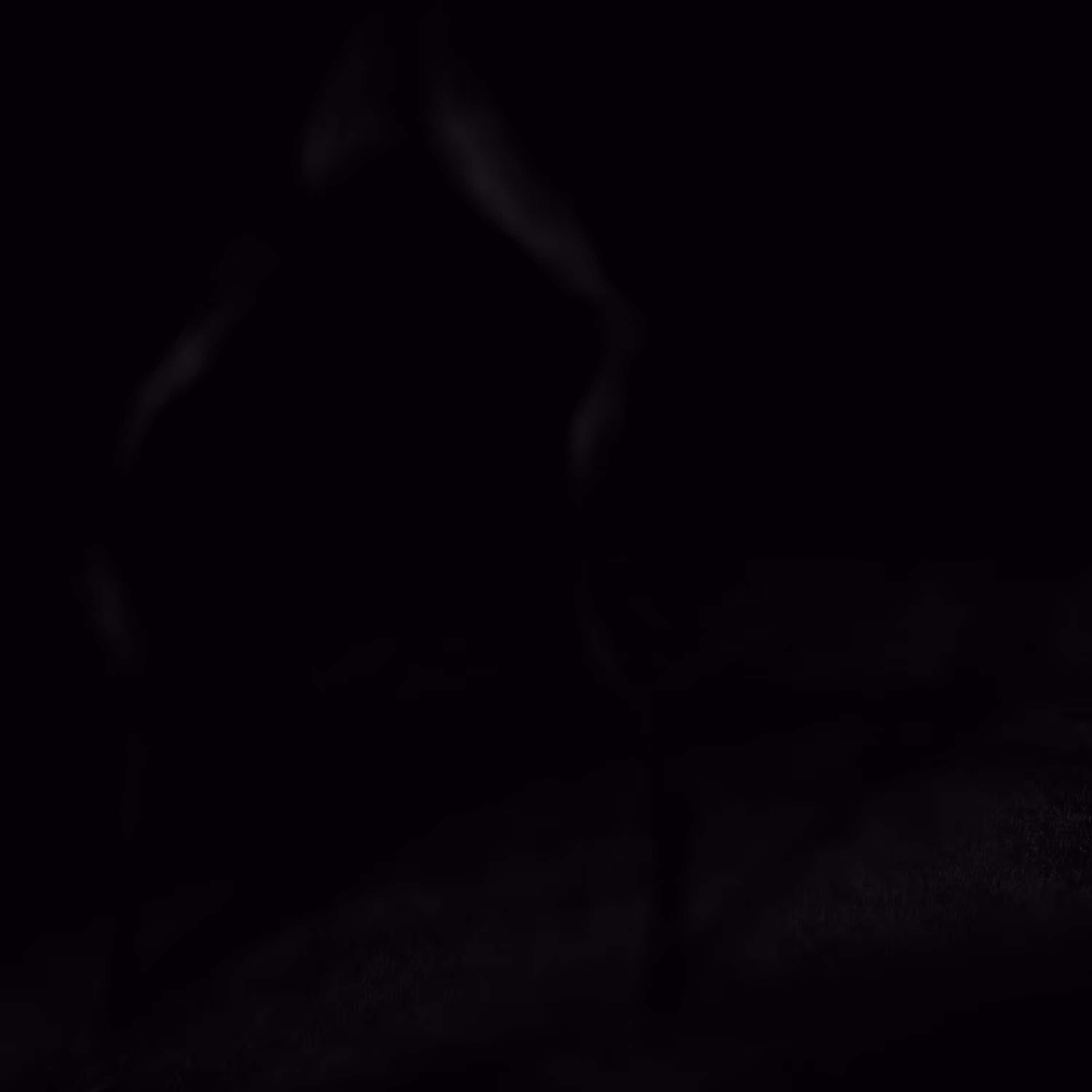 LYMBYX__node_002.JPG