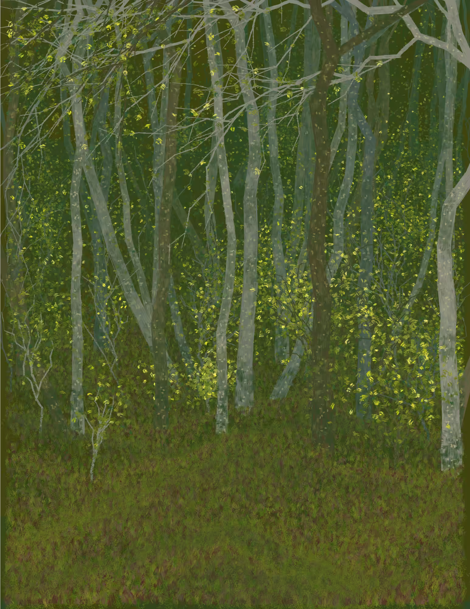 Deep Forest #50