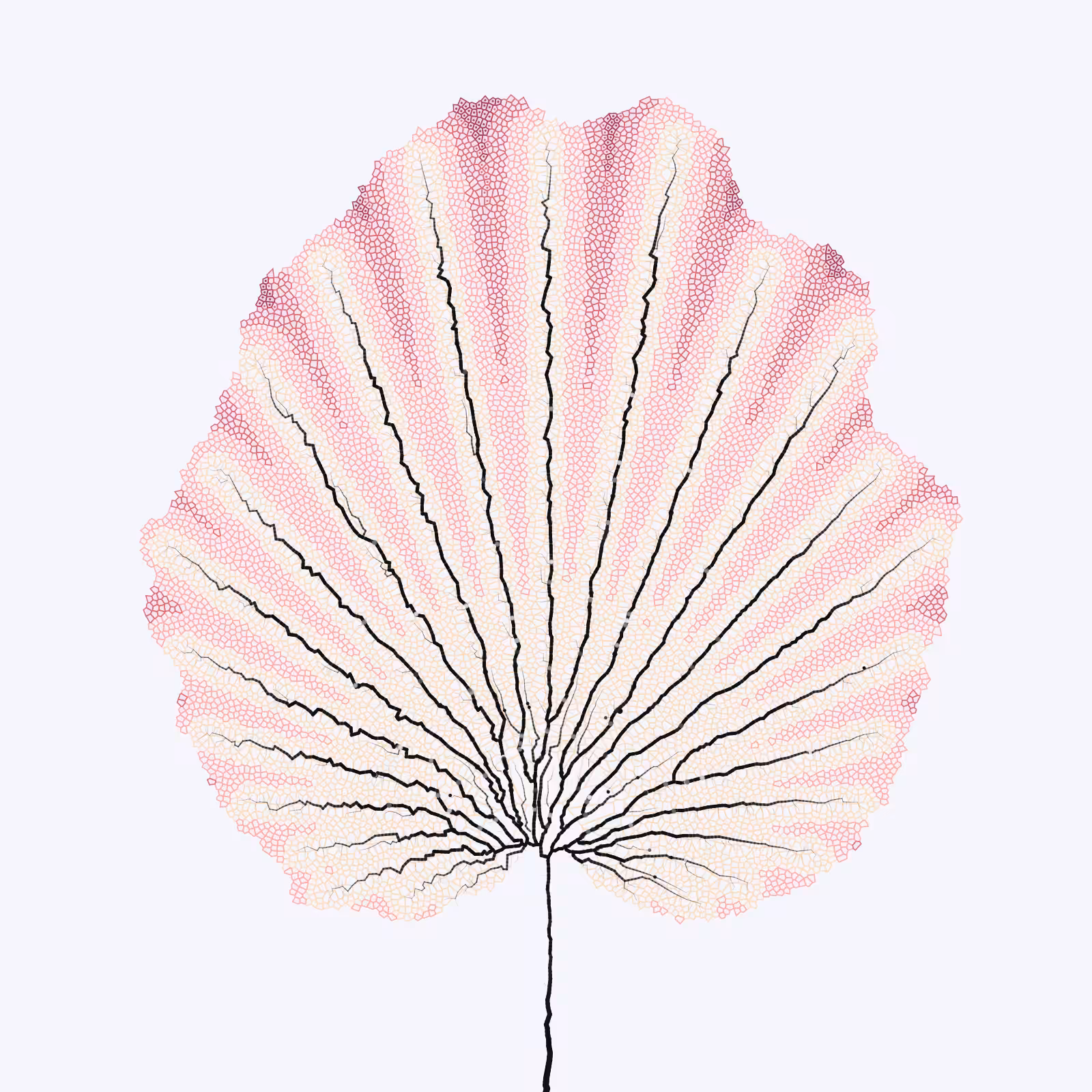 Leaf study #39