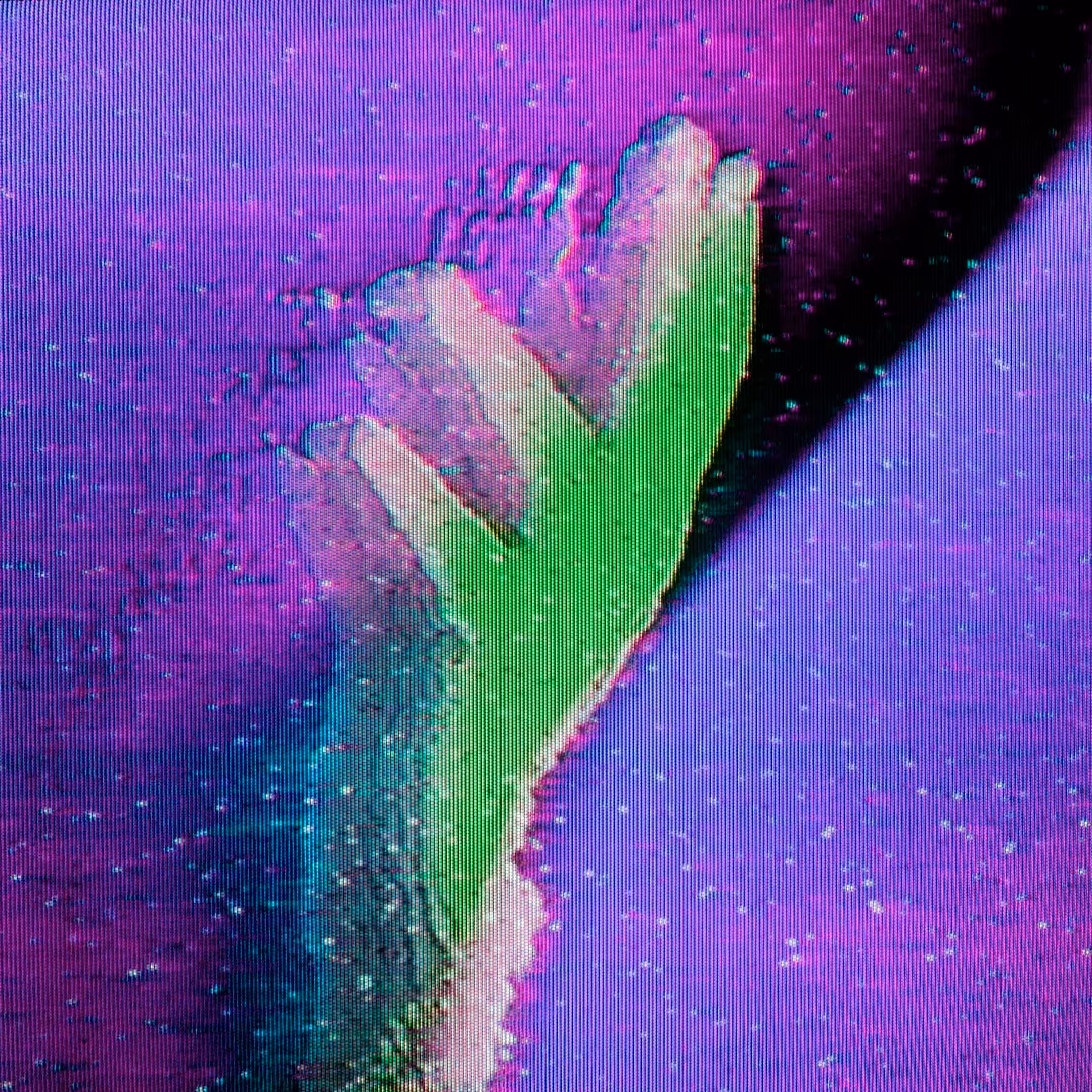 PRT MEM // 003