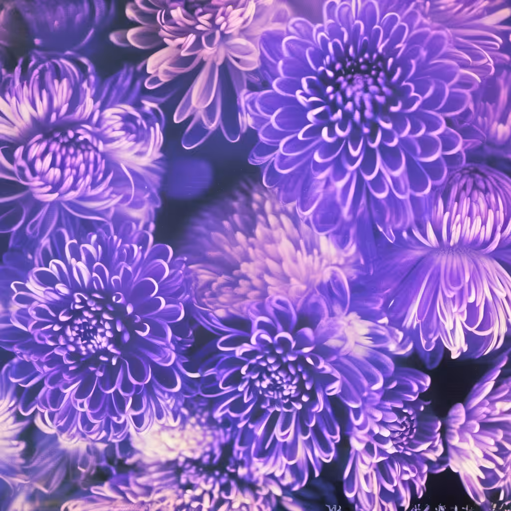 Bloom #7