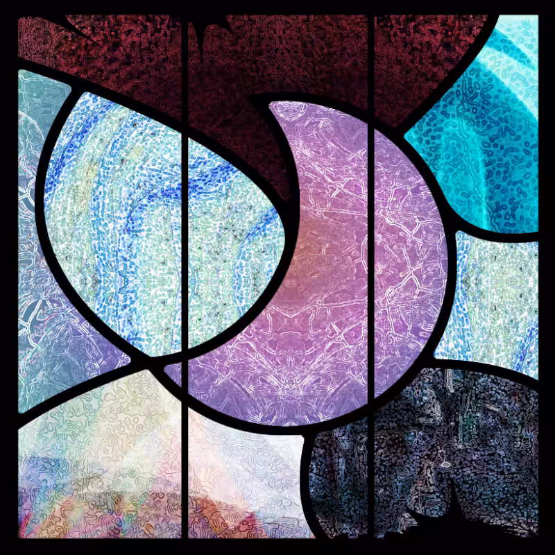 Cells #6