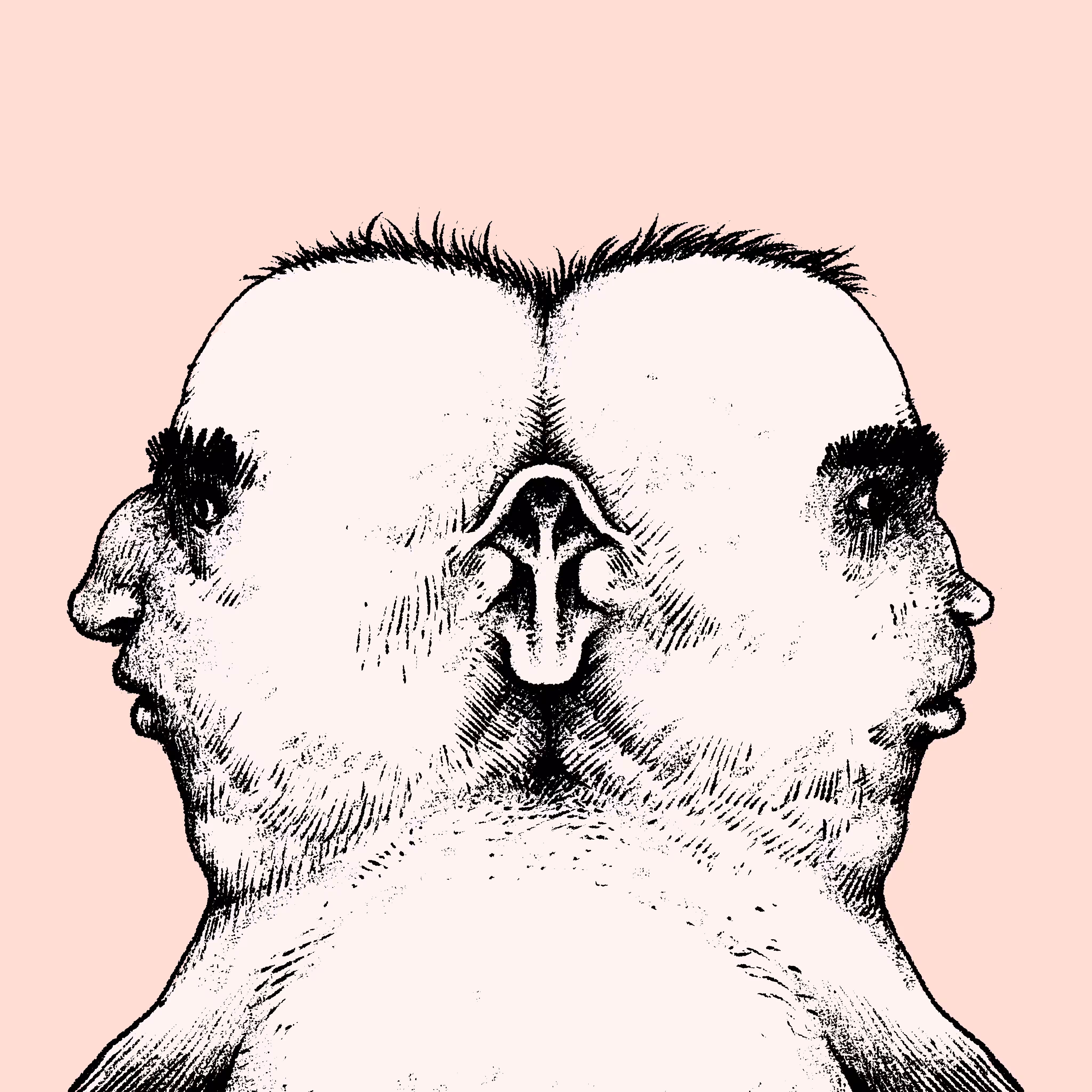 The Papiliosson brothers
