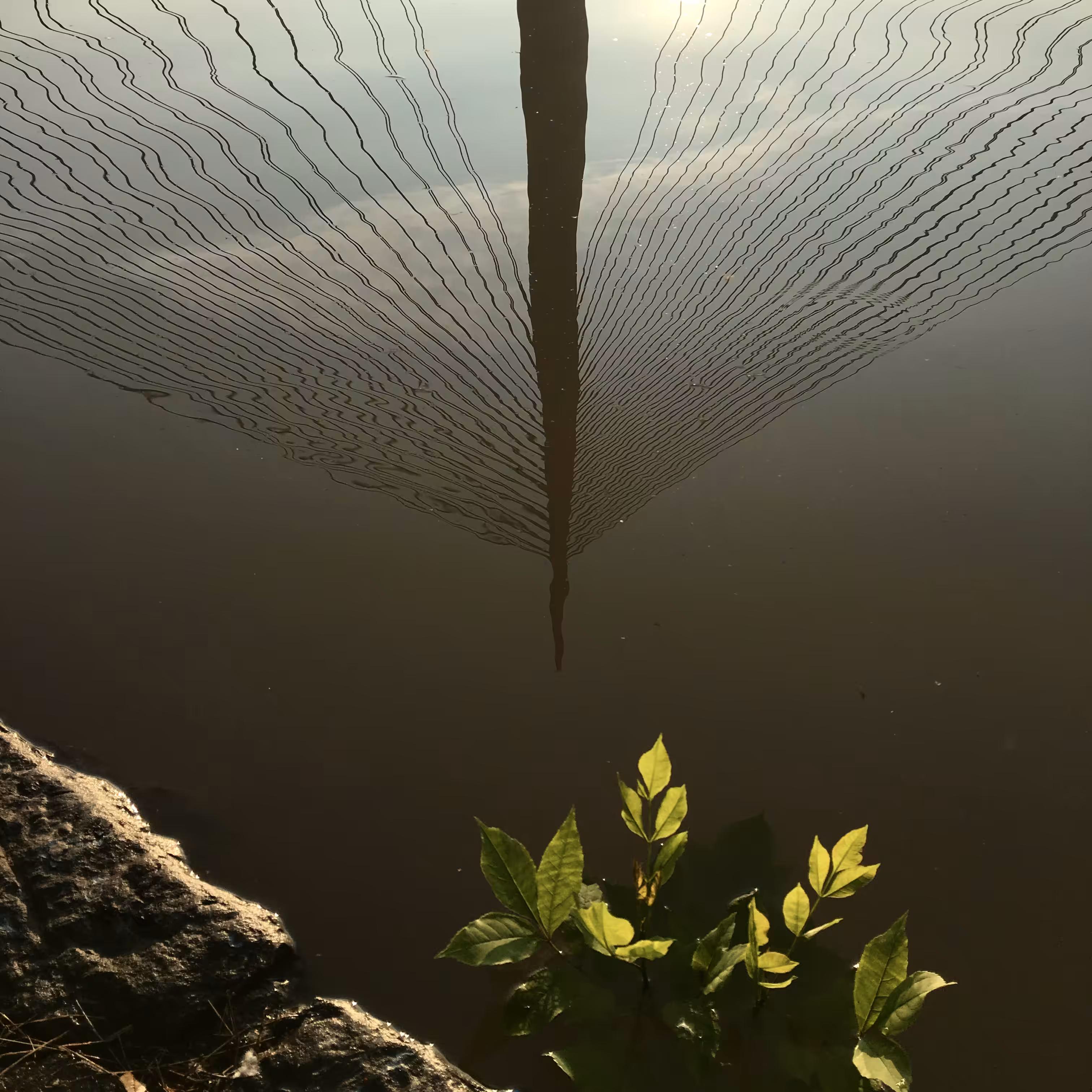 reflections