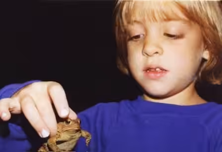 hello world 🐸