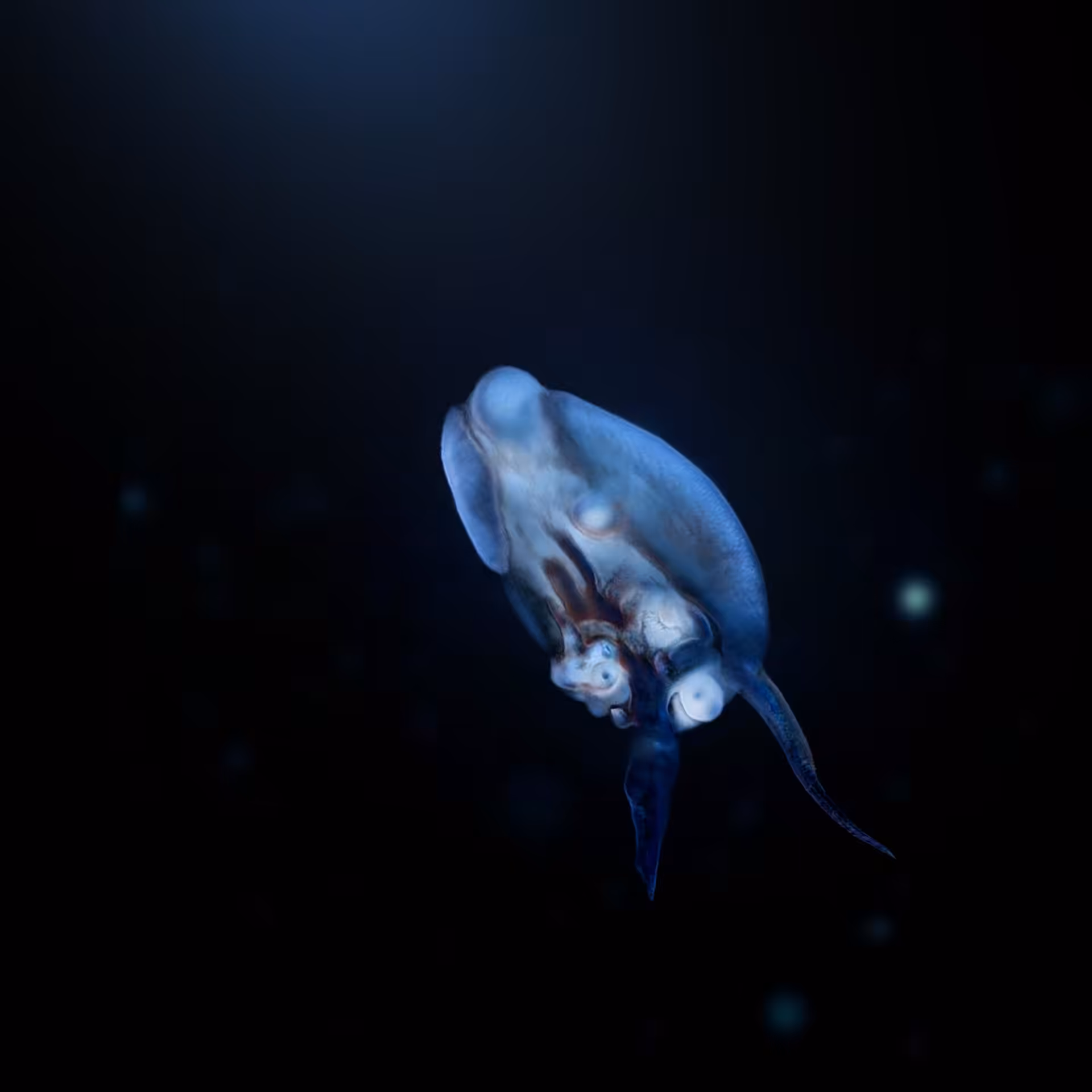 Sperma 02