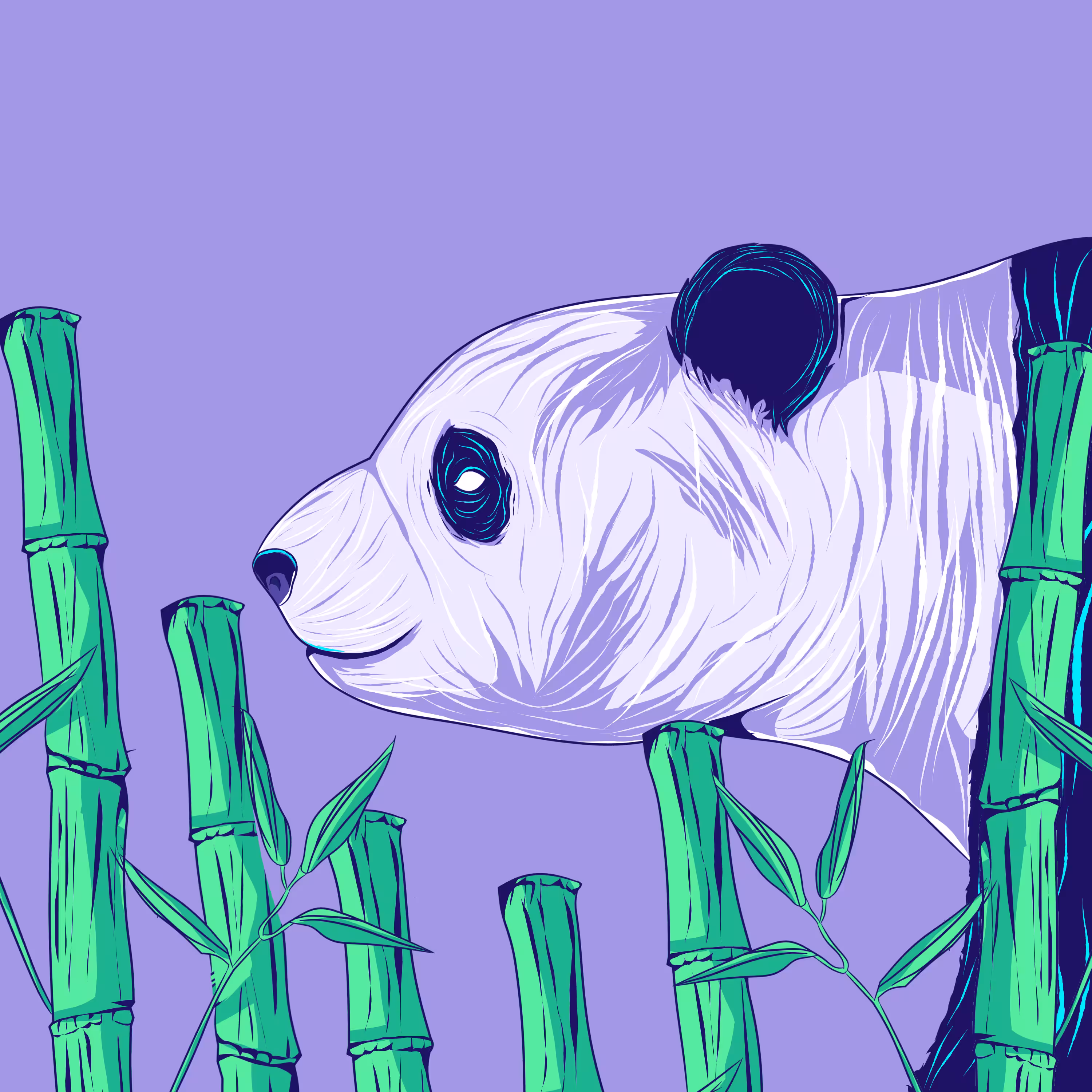 #8 Pudgy Panda