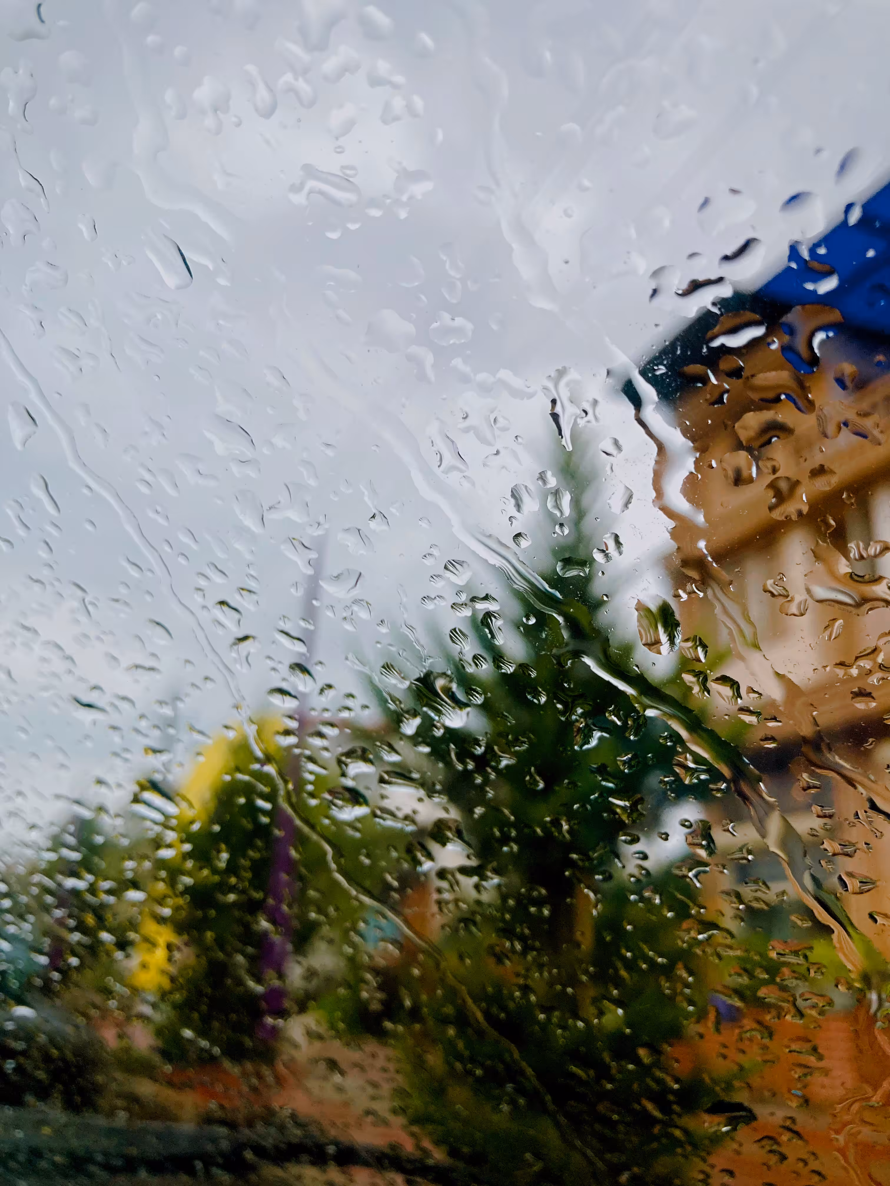 The Happy Valley: Raining ☔ 