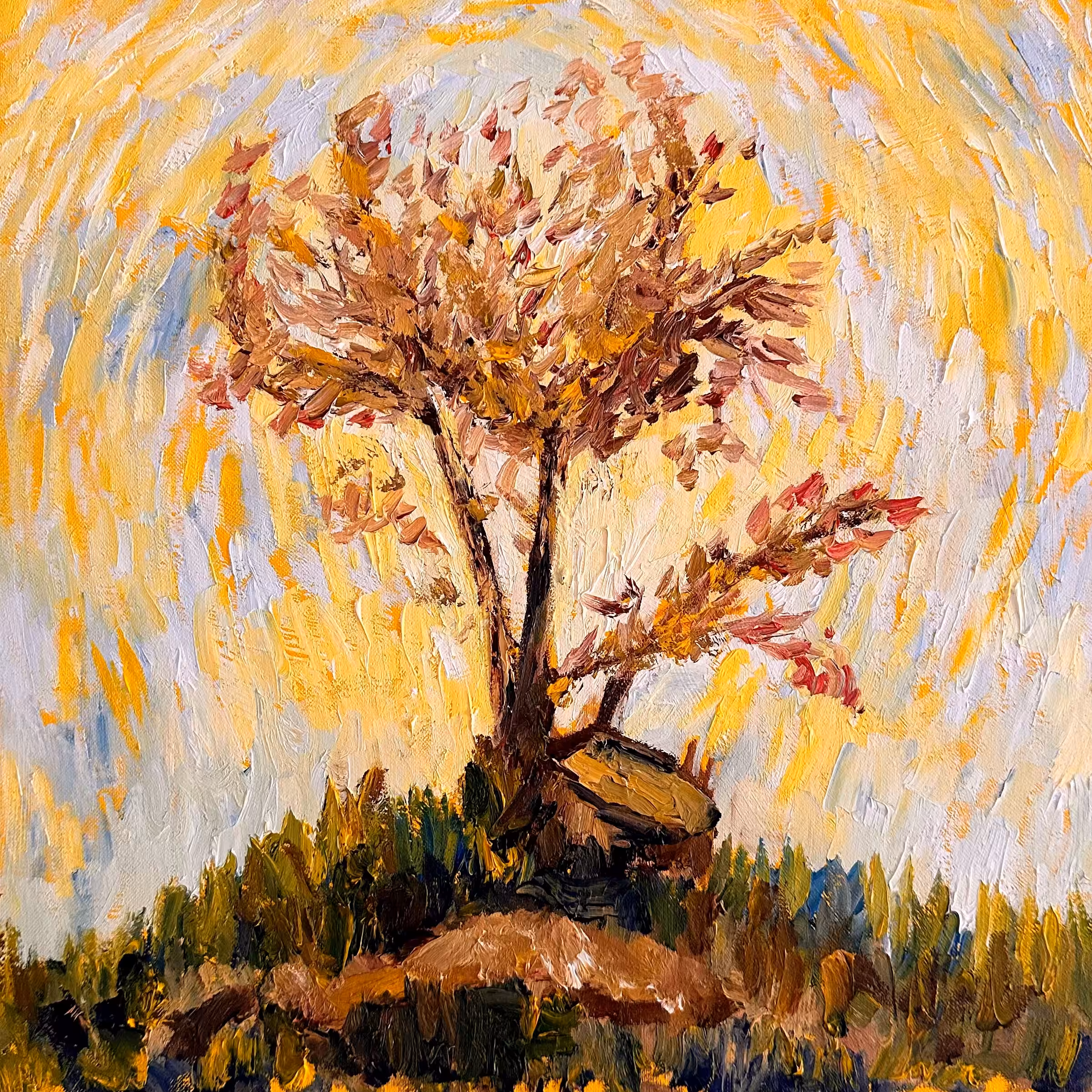 Circulation of light