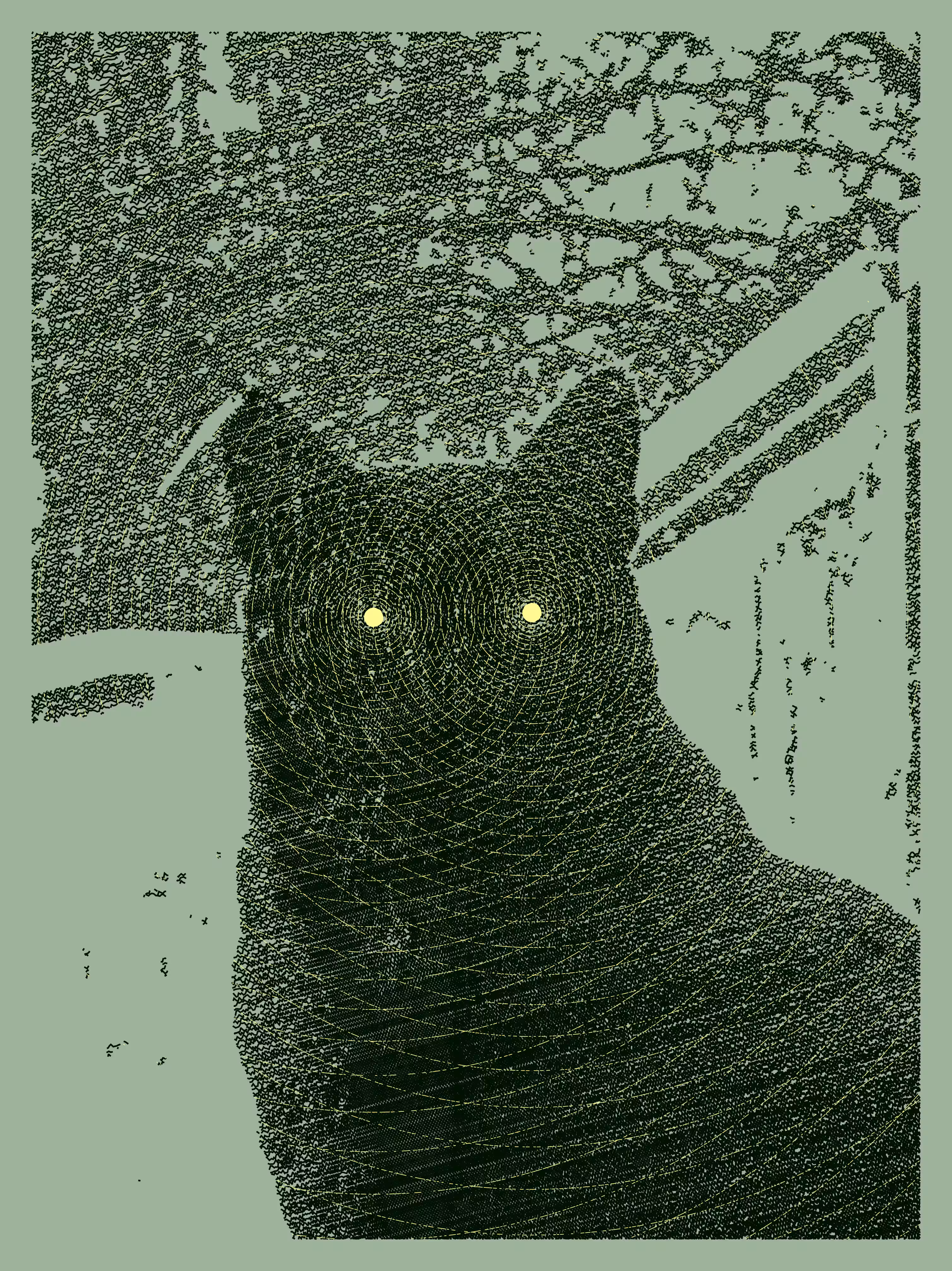 Posca the cat