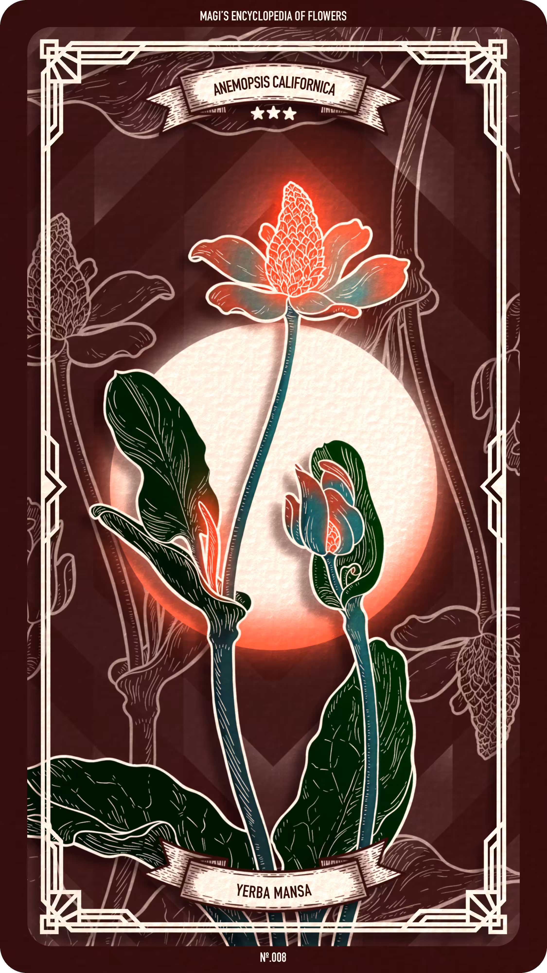 Magi's Encyclopedia of Flowers: 008 Yerba Mansa