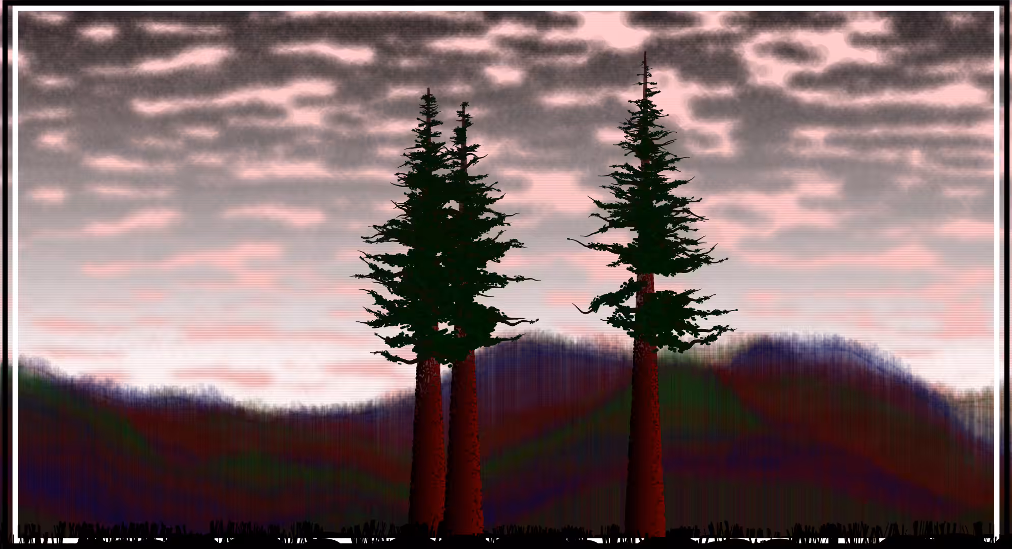 Sequoias #3
