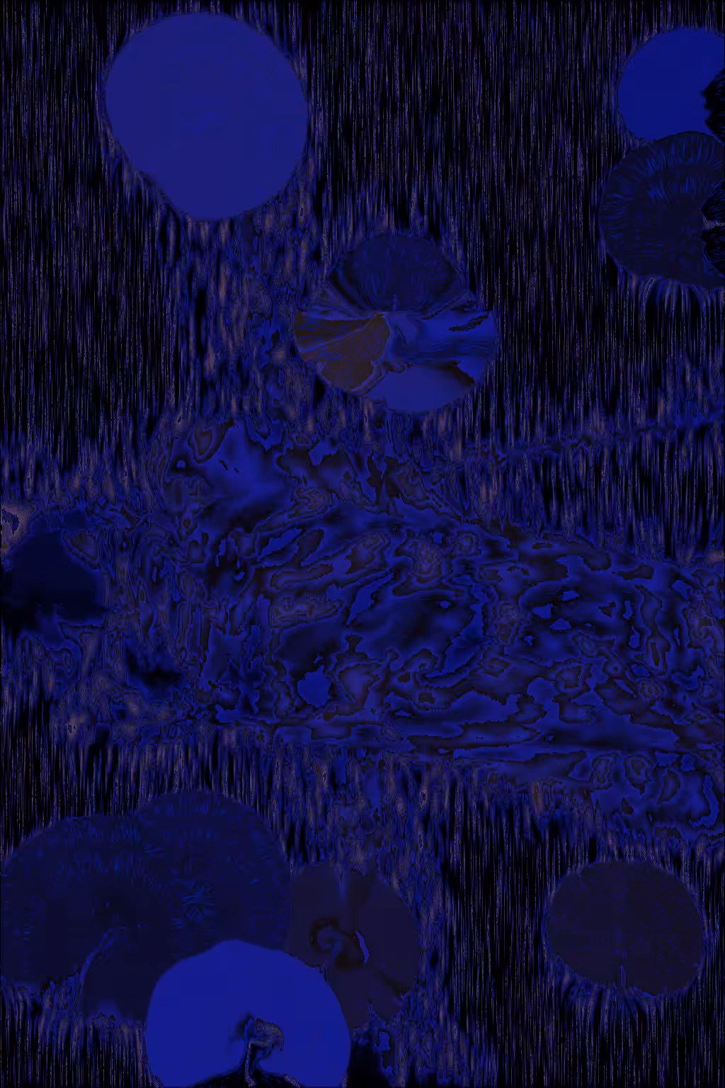 Protozoan Triptych #4