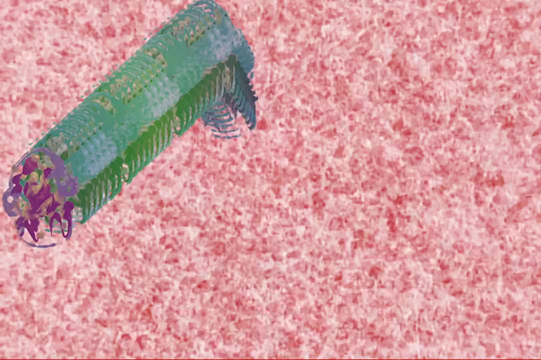 ScreenSaver #1 (Blotsnake over meat-rock island)