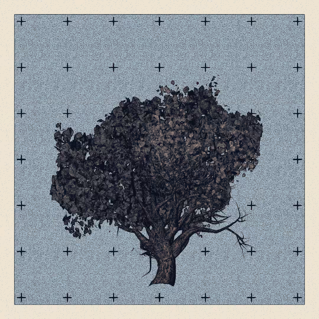 _argania[primaria] #219