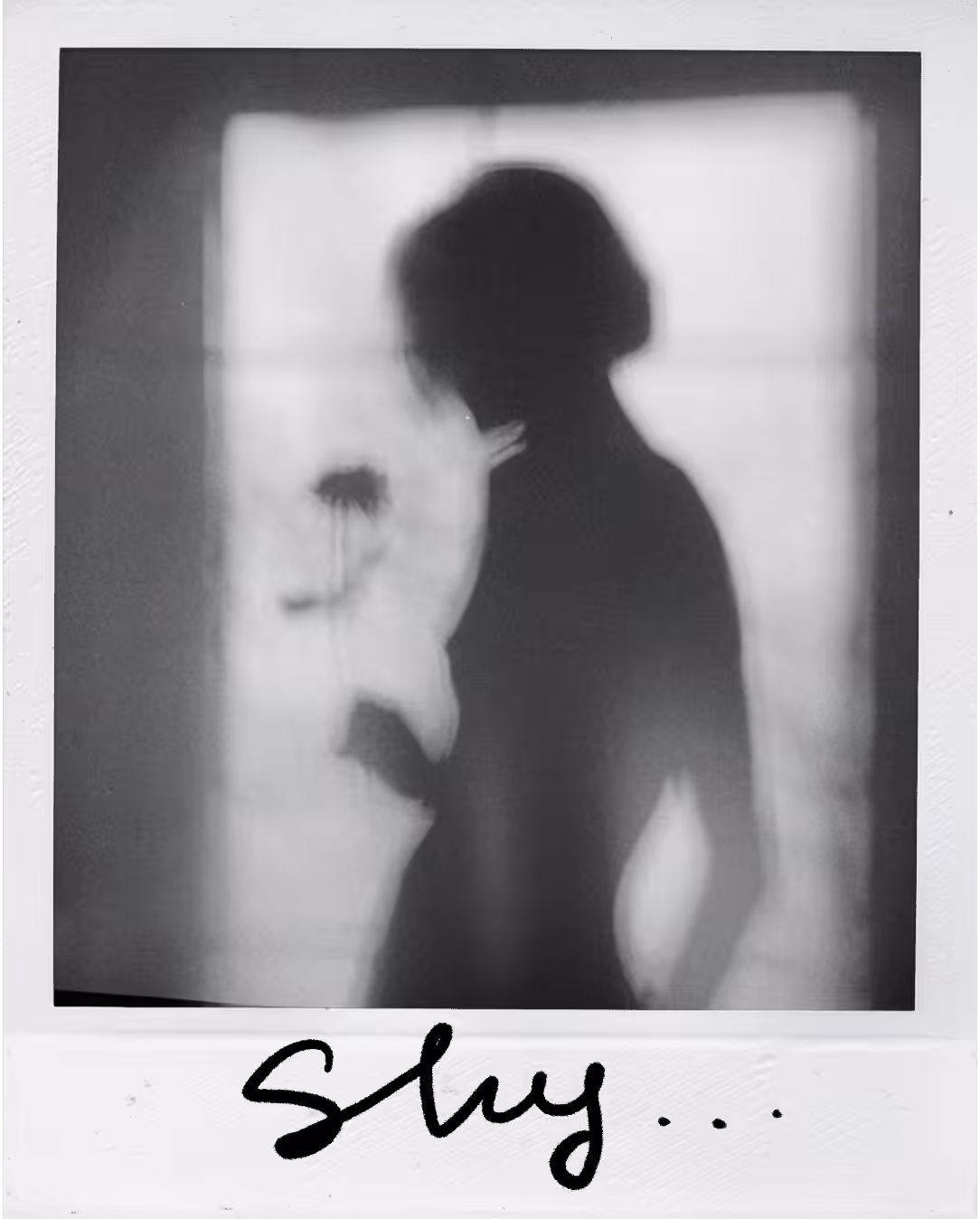Polaroid 118