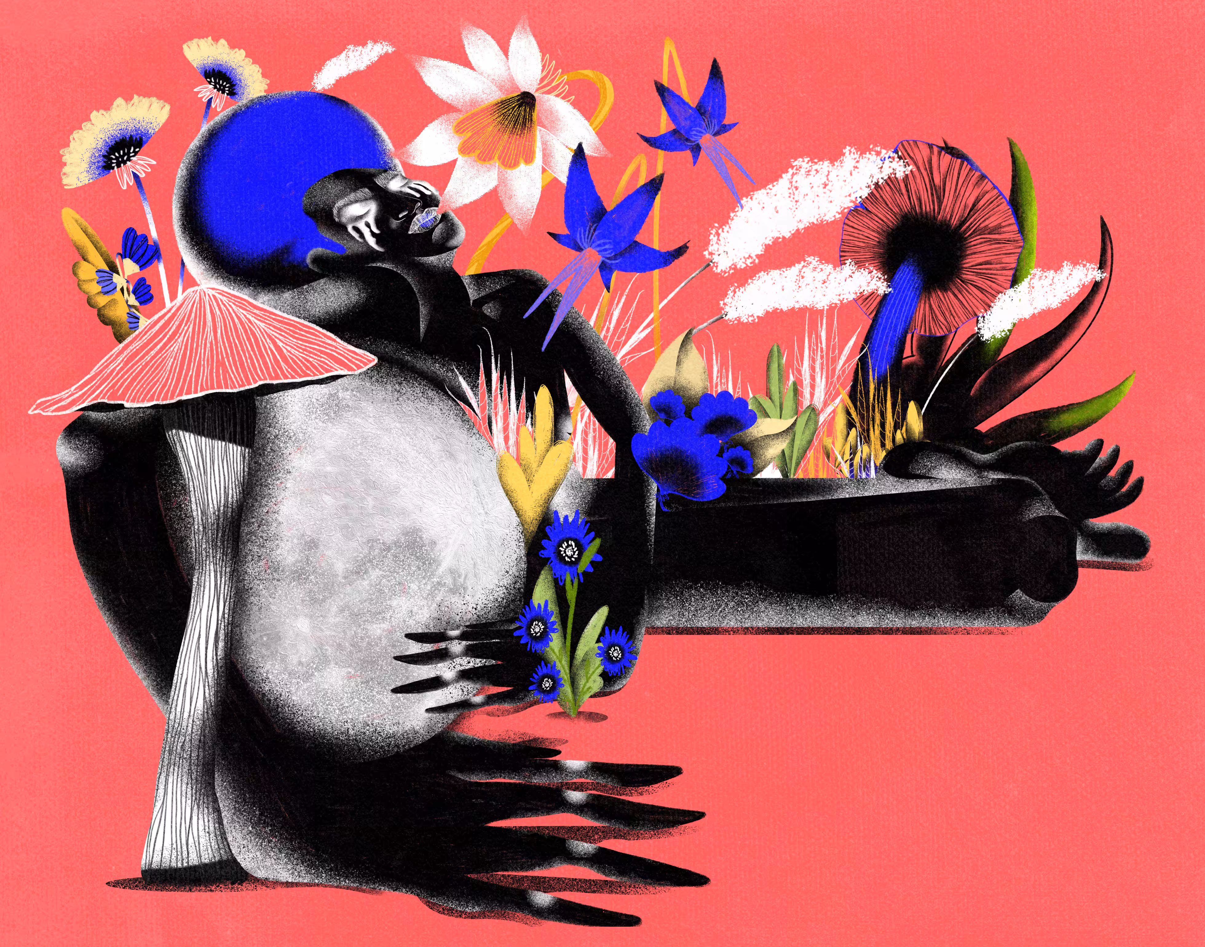 Bloom