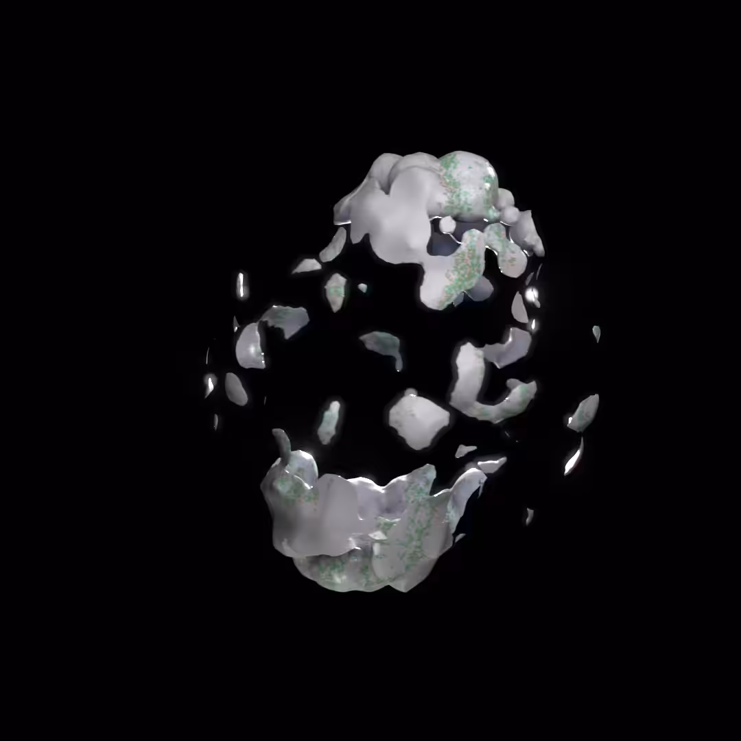 Shape 002