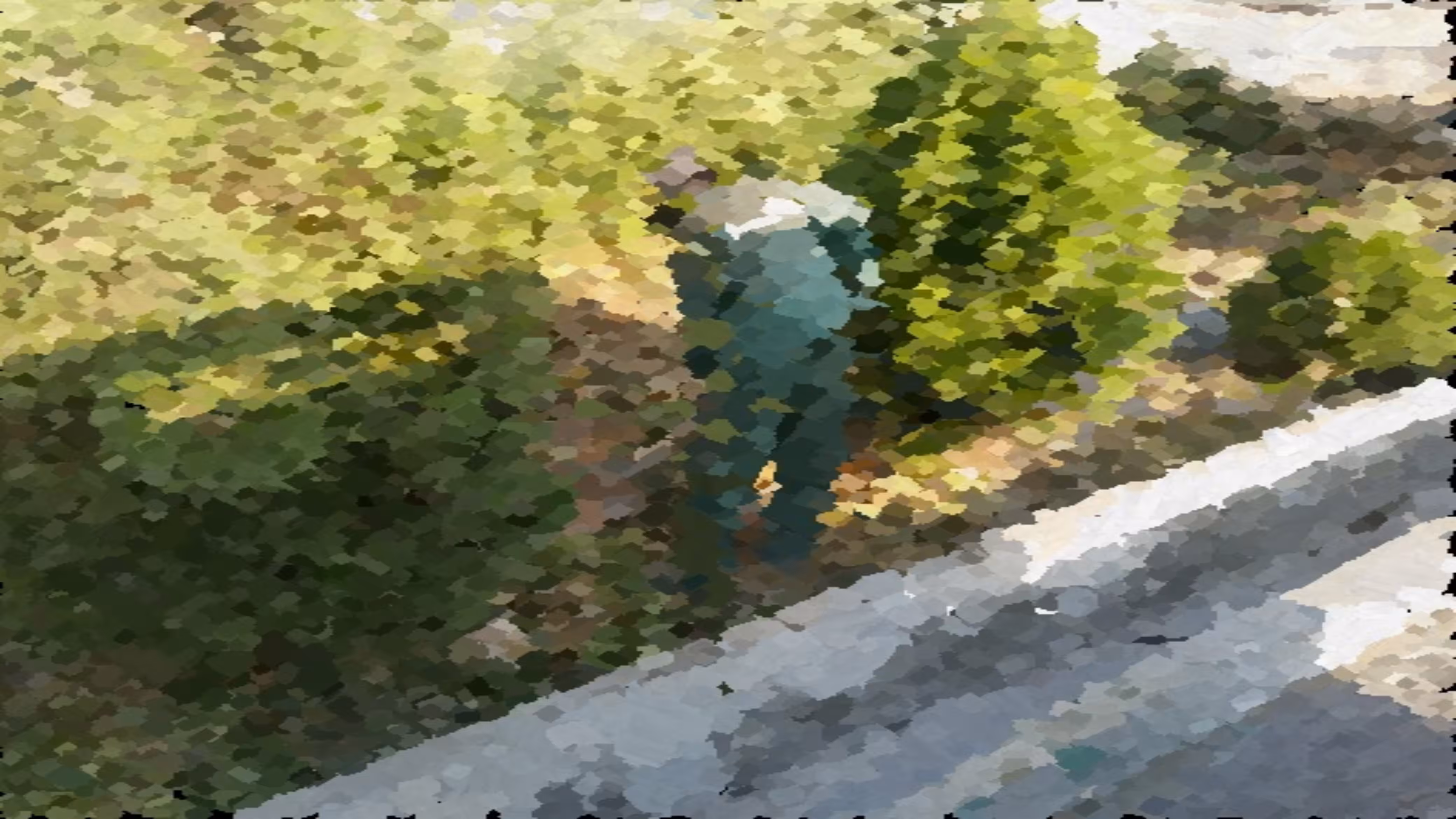 The world of workers (Weeding)