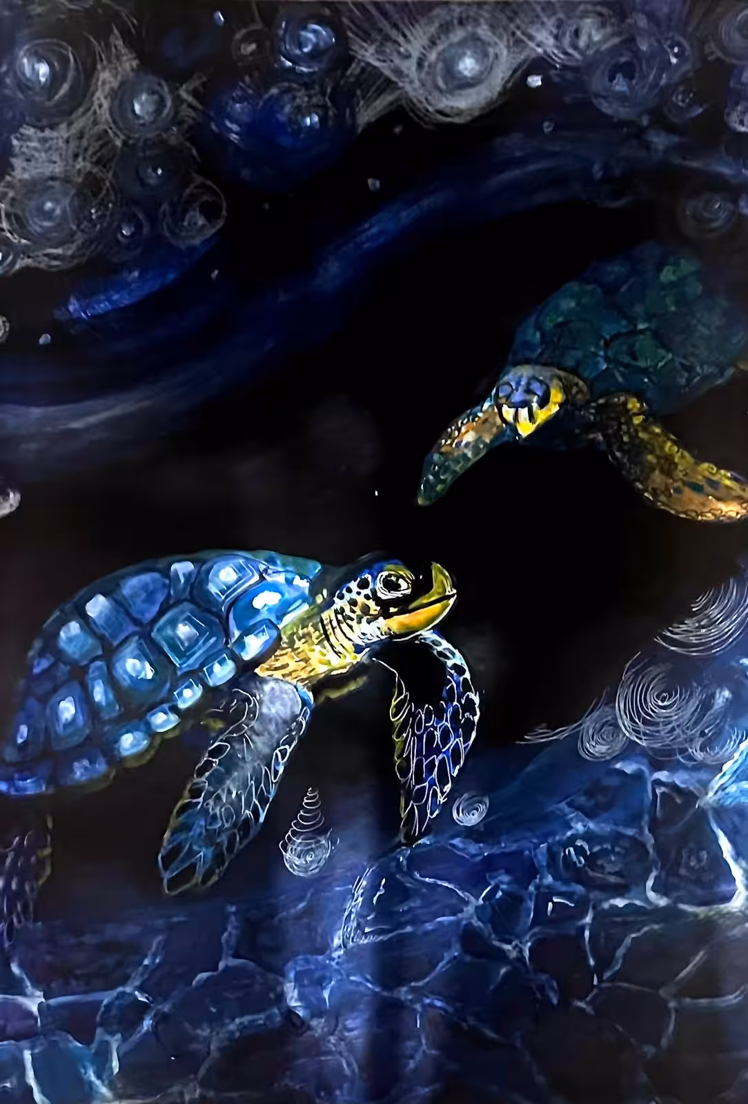 Space turtles