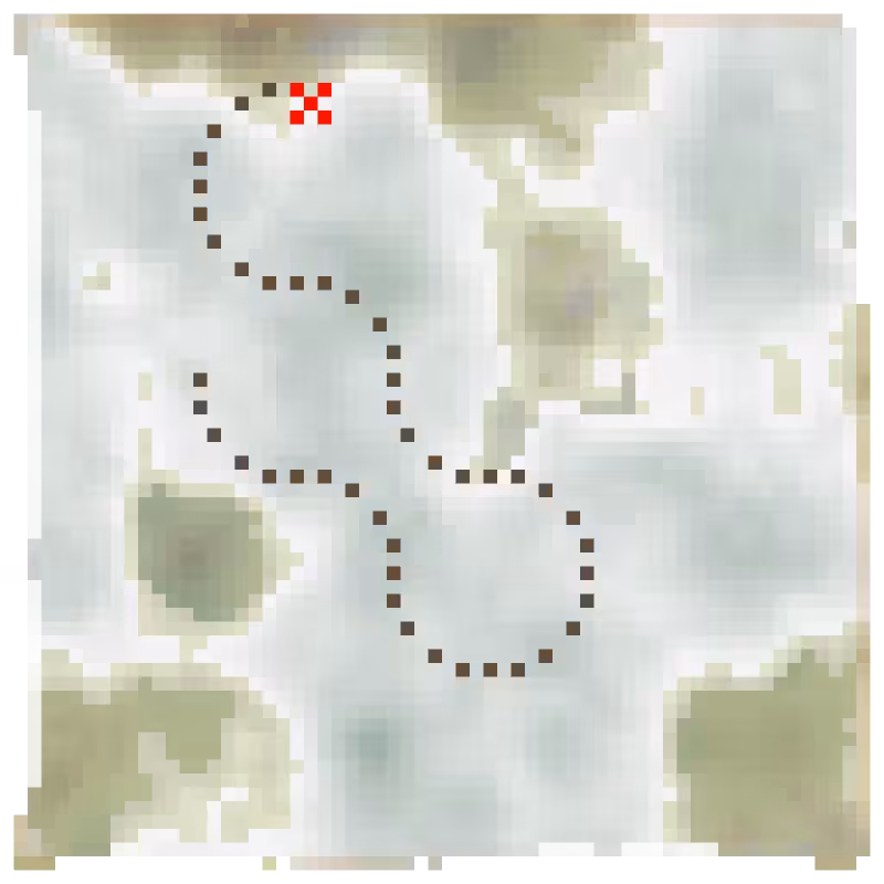 TREASURE MAPZ #43