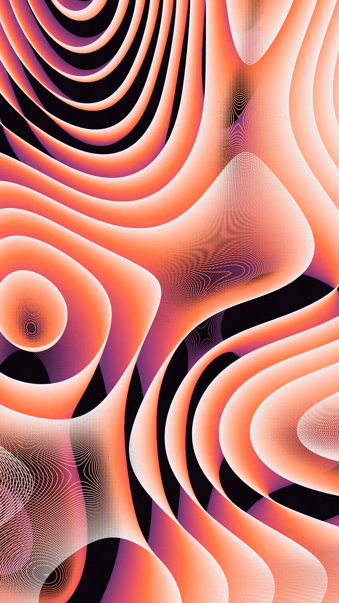 FLUID #24