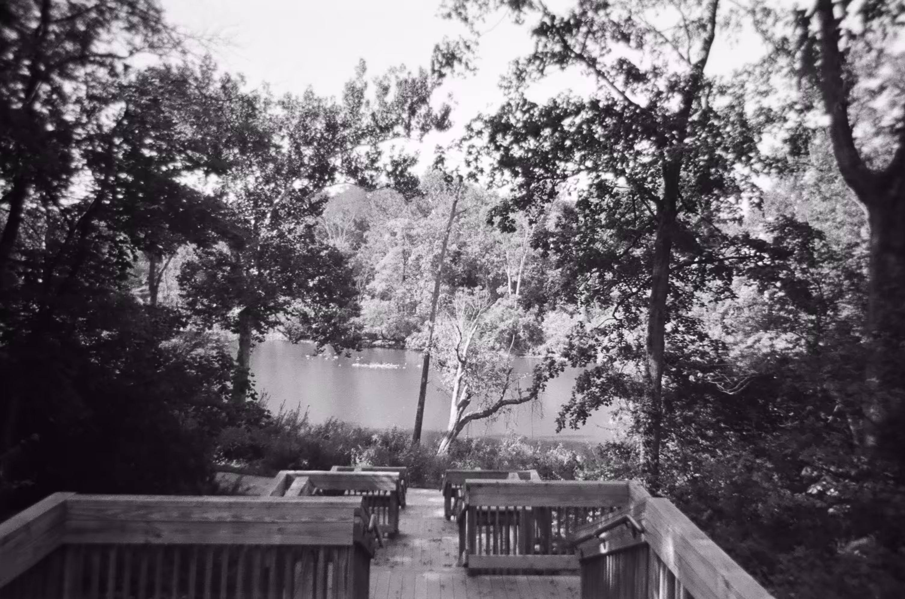 Down to the River